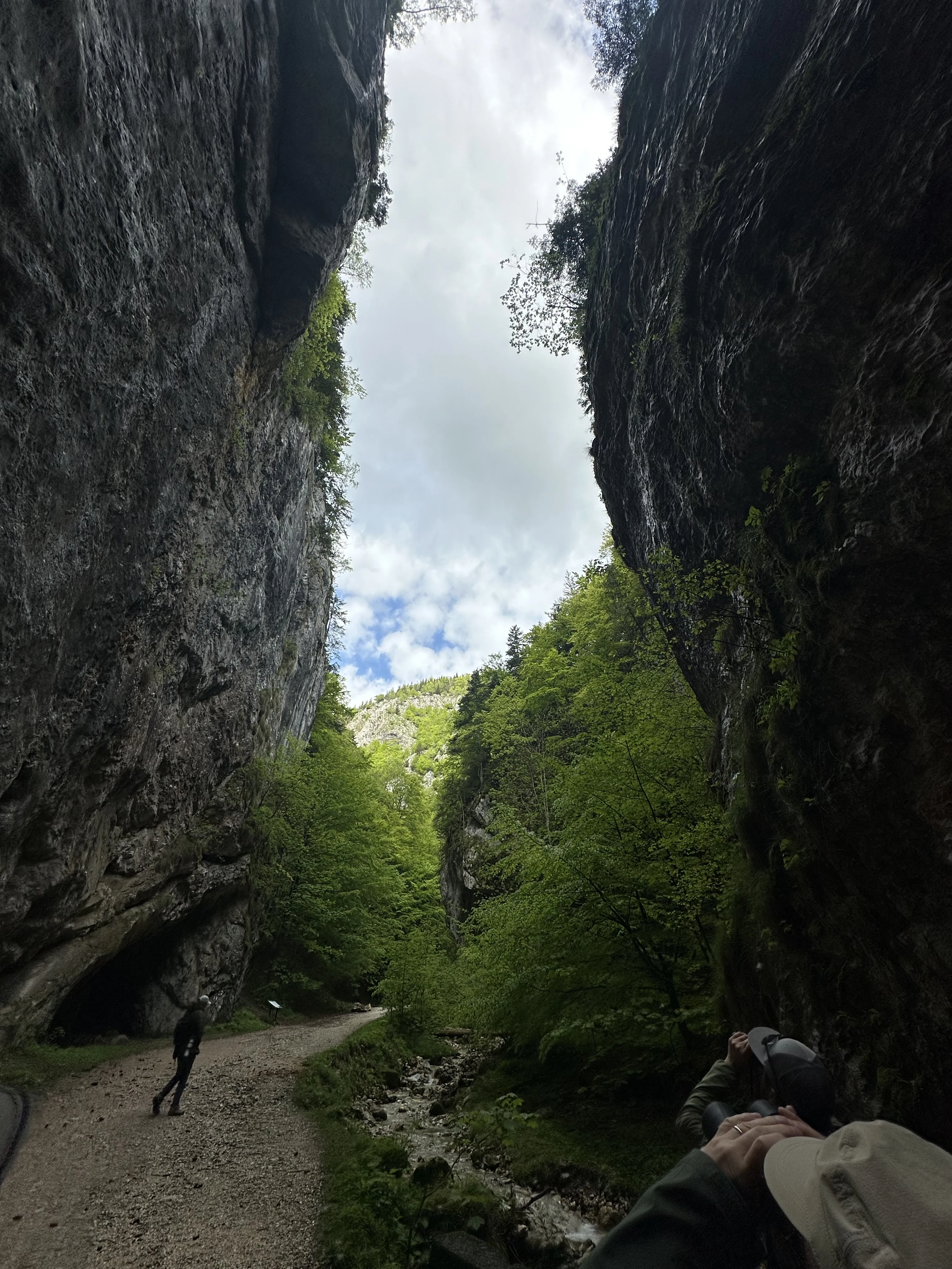 Piatra Craiului National Park, Transylvania, Romania — photo by Orlando Prugel-Bennett