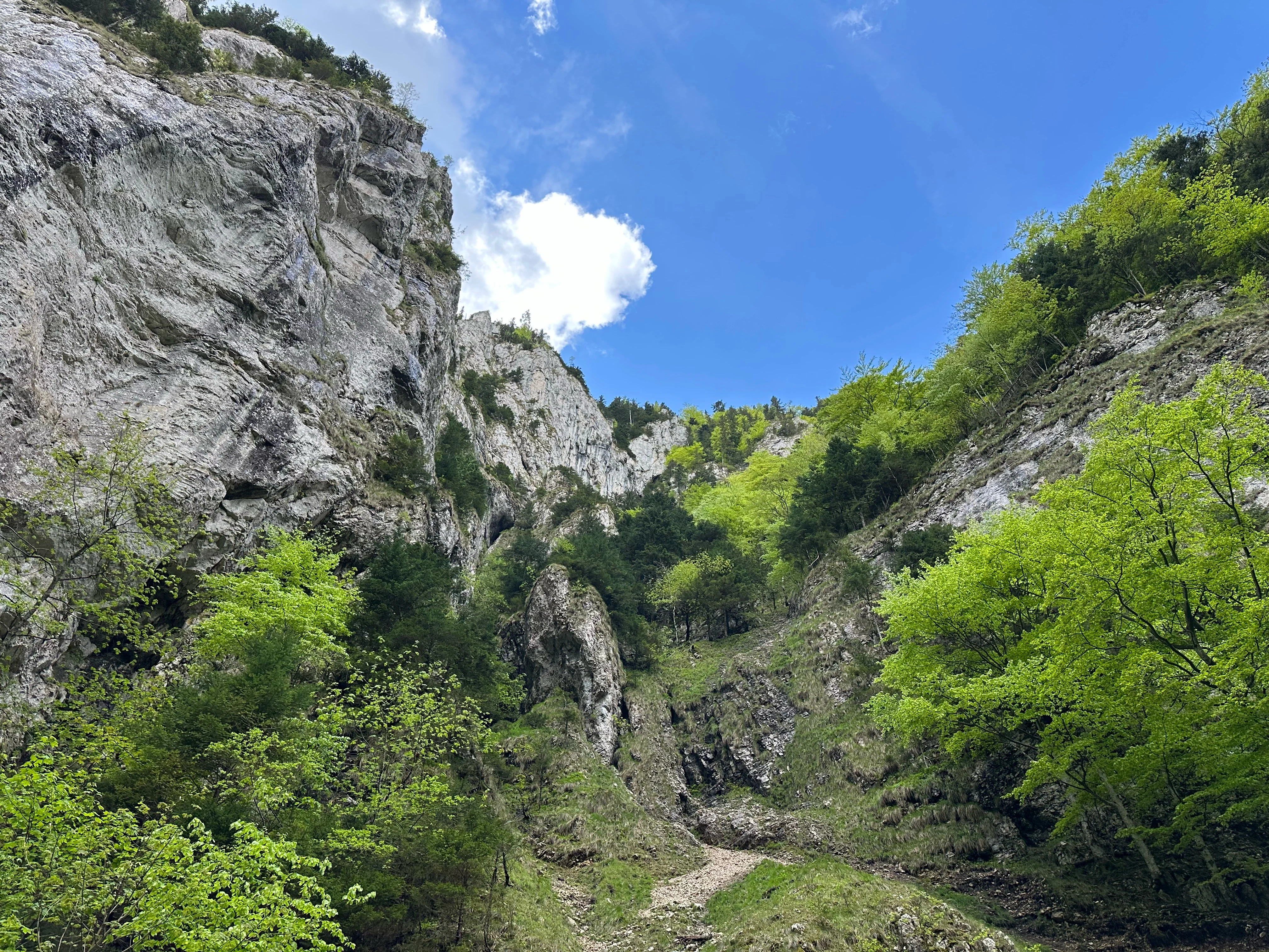 Piatra Craiului National Park, Transylvania, Romania — photo by Orlando Prugel-Bennett