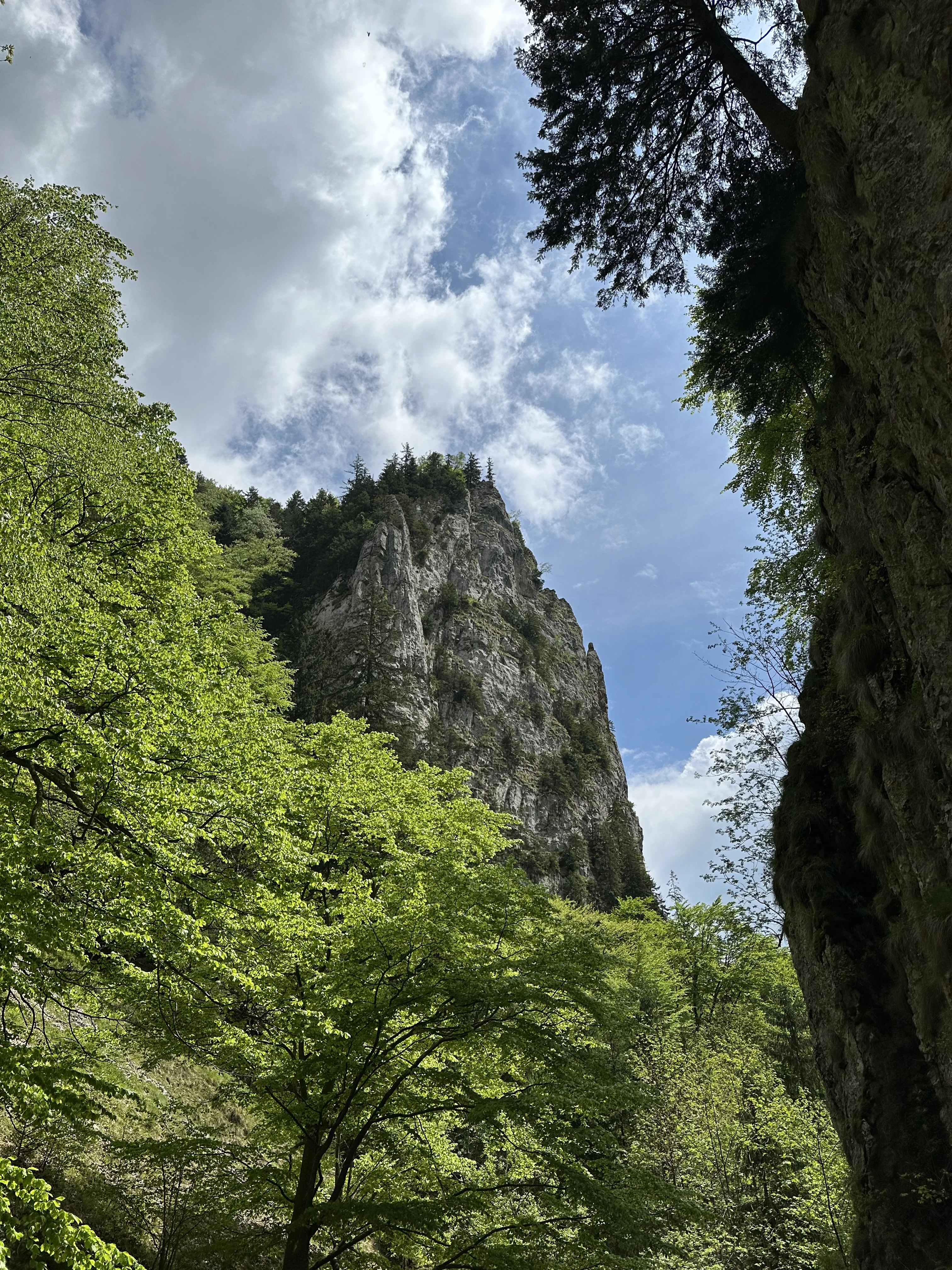 Piatra Craiului National Park, Transylvania, Romania — photo by Orlando Prugel-Bennett