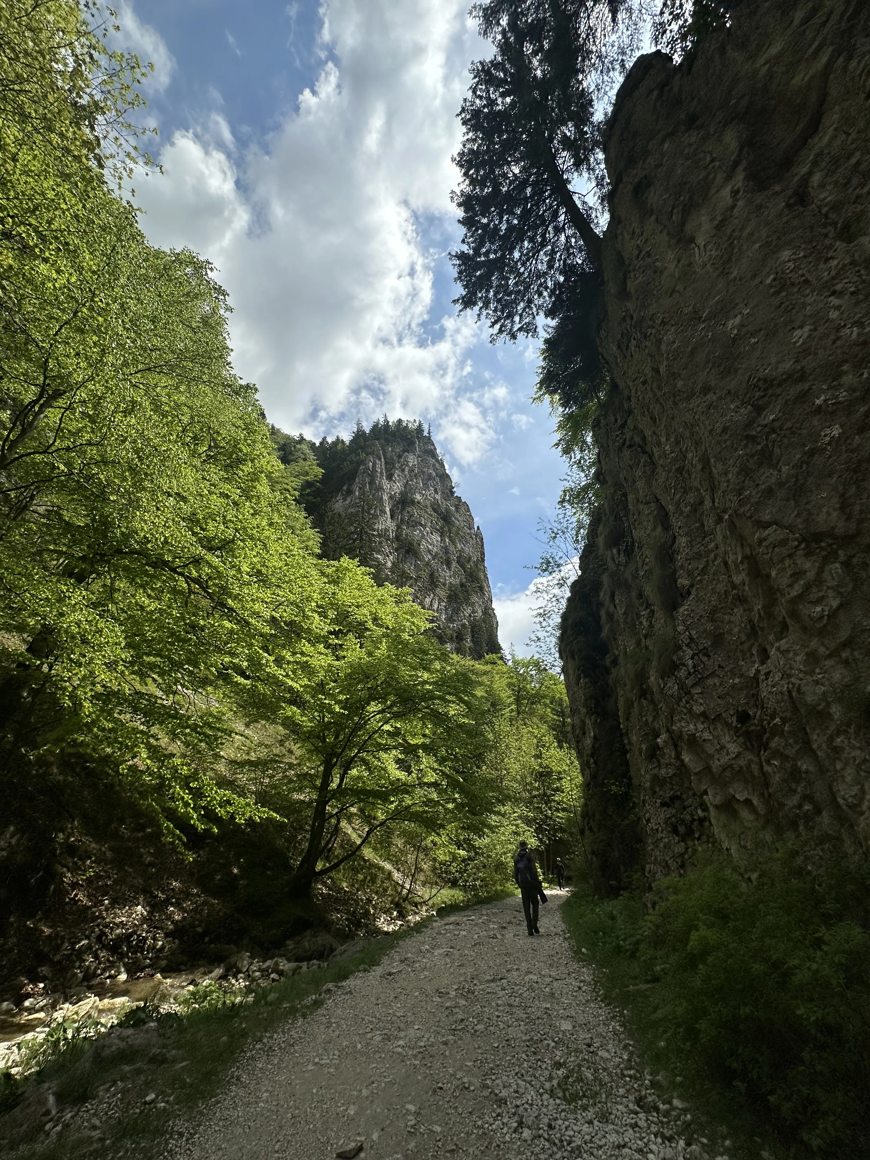 Piatra Craiului National Park, Transylvania, Romania — photo by Orlando Prugel-Bennett