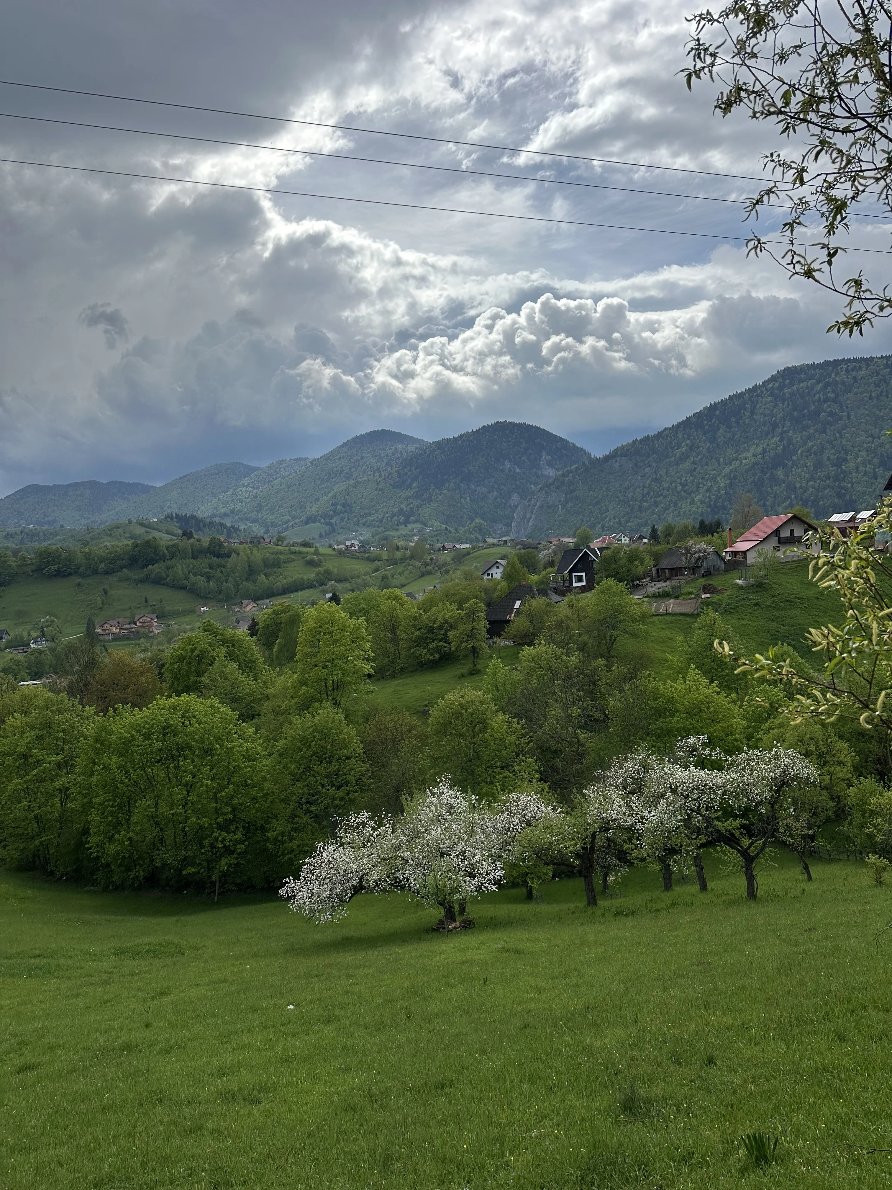 Piatra Craiului National Park, Transylvania, Romania — photo by Orlando Prugel-Bennett