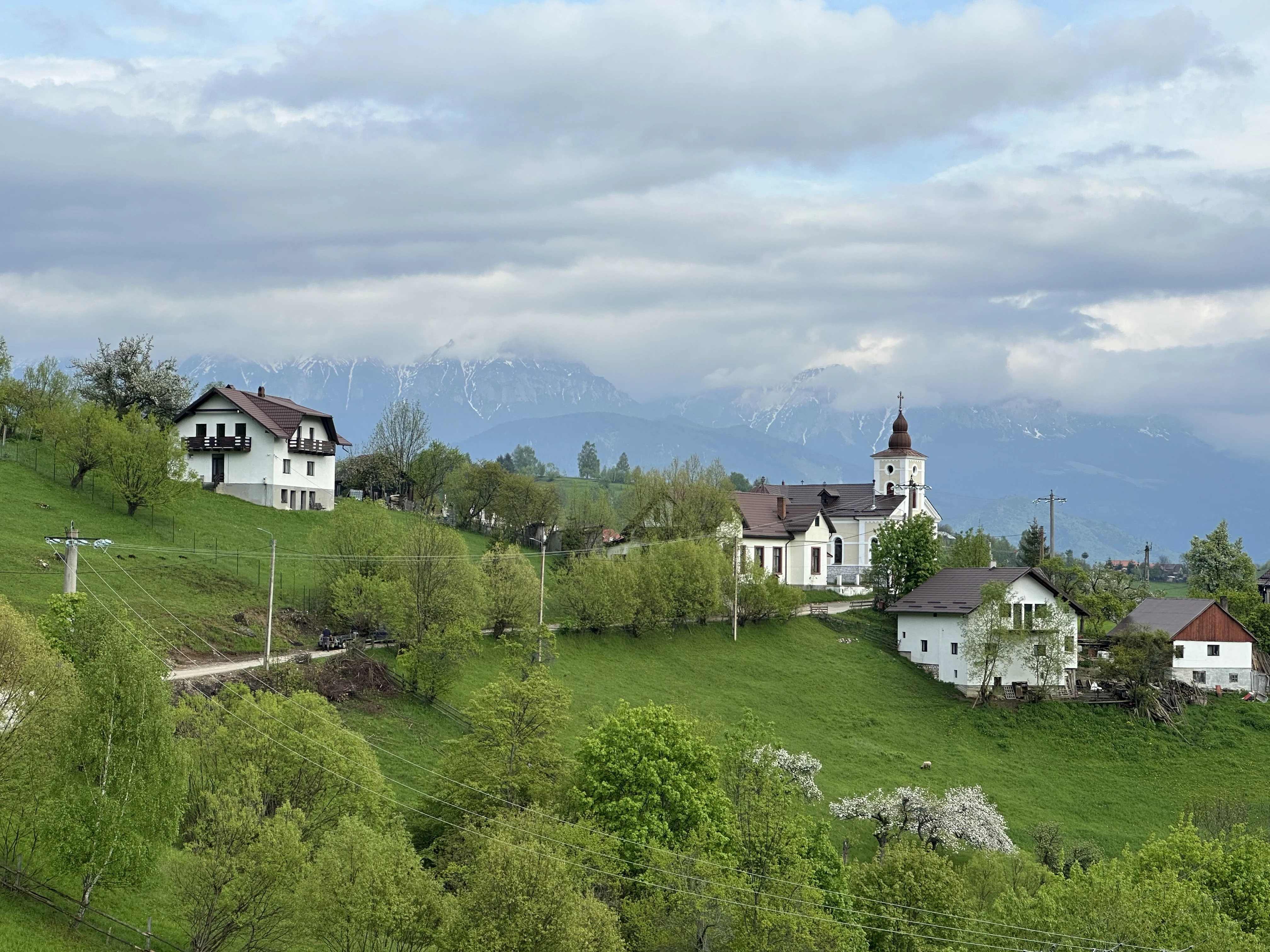 Piatra Craiului National Park, Transylvania, Romania — photo by Orlando Prugel-Bennett