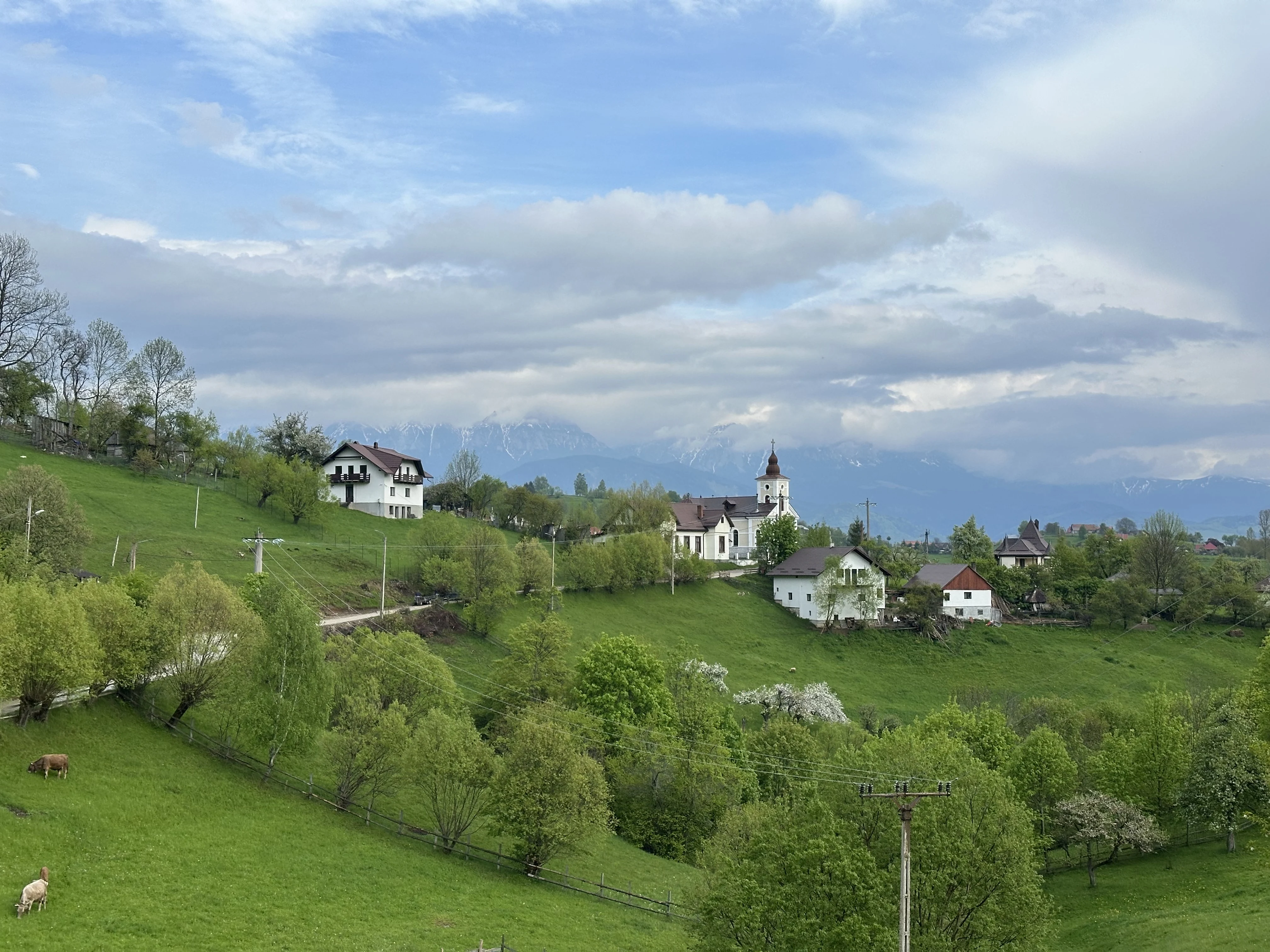Piatra Craiului National Park, Transylvania, Romania — photo by Orlando Prugel-Bennett