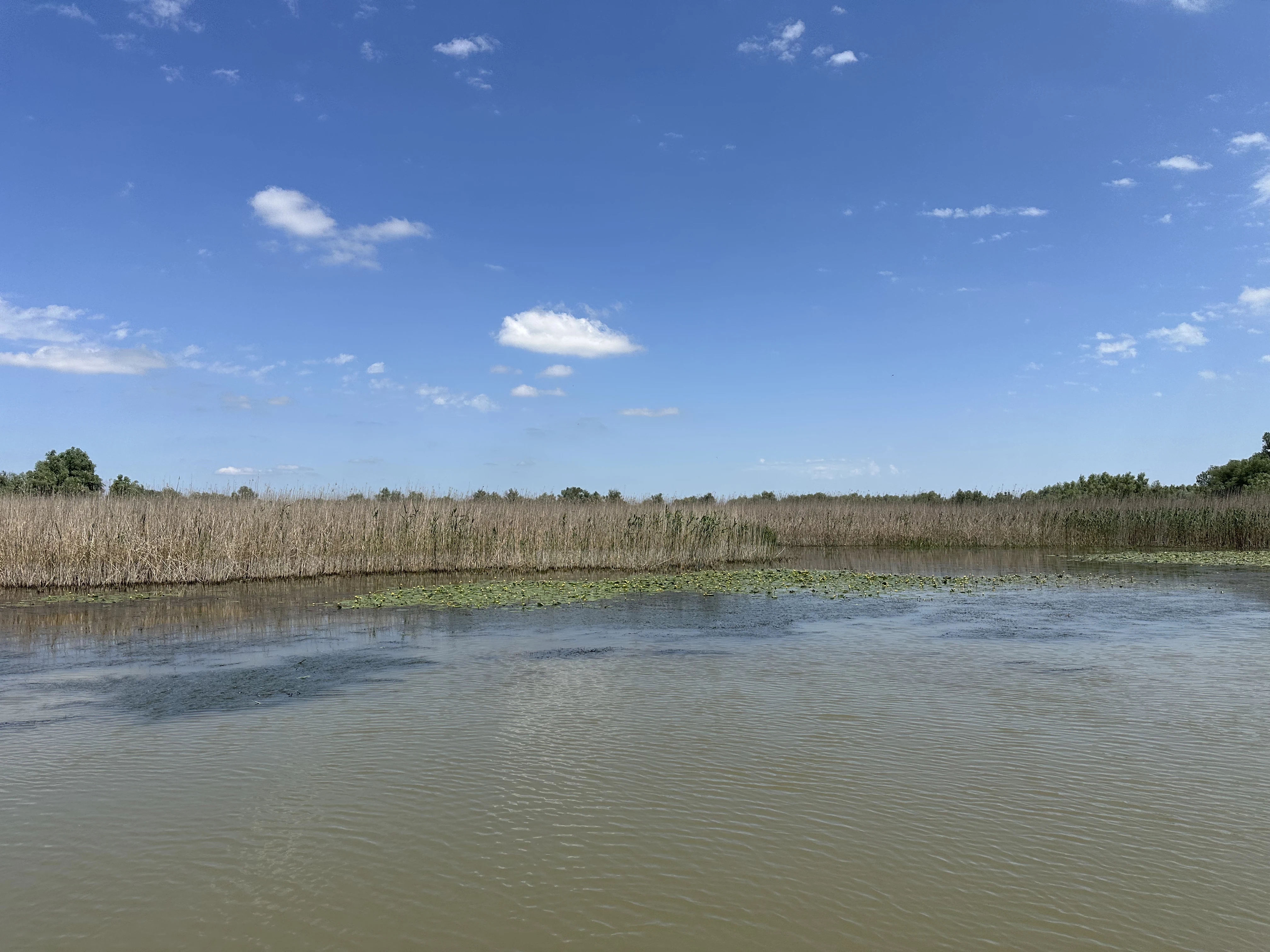Danube Delta, Danube Delta, Romania — photo by Orlando Prugel-Bennett
