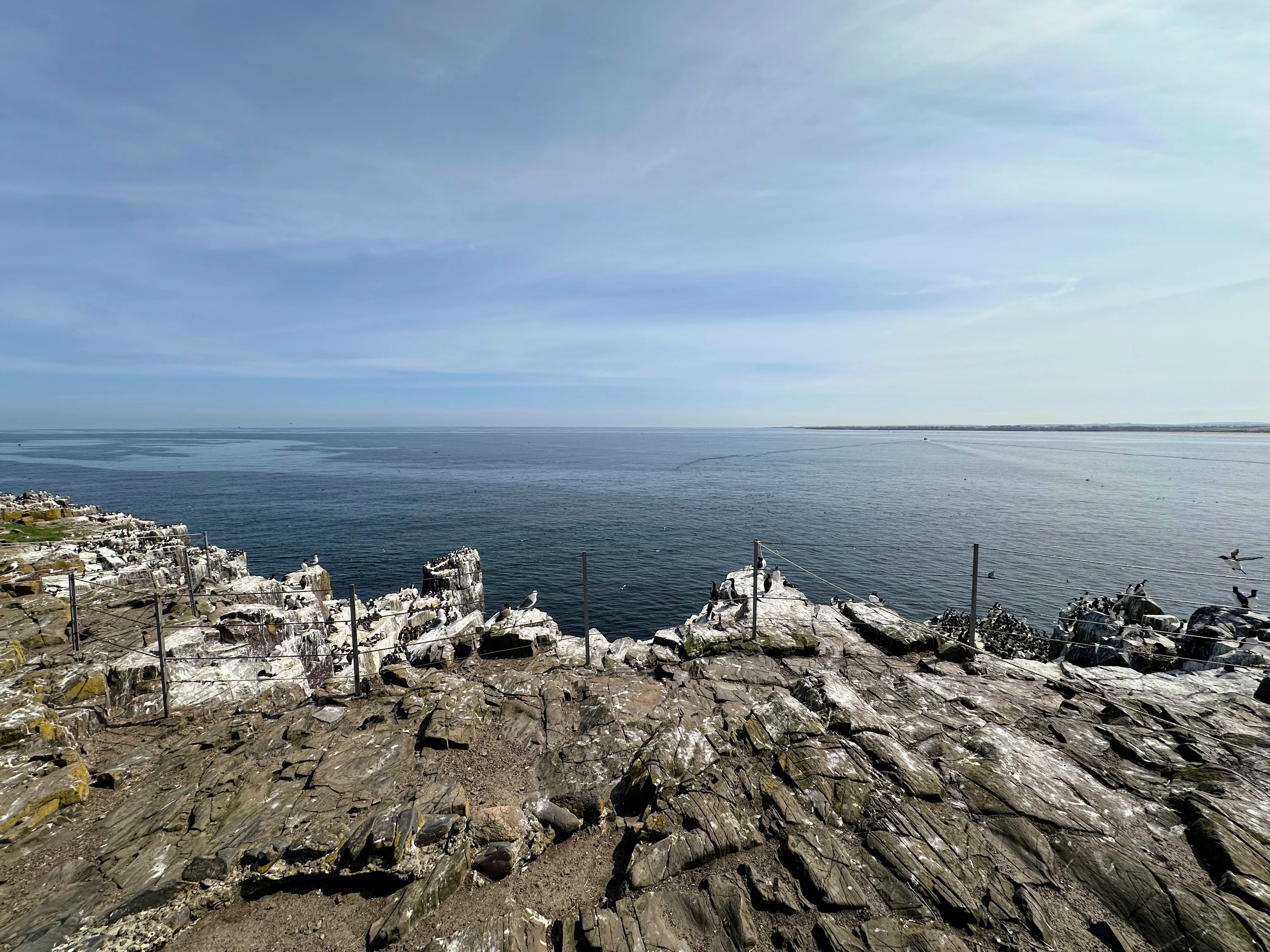 Inner Farne, Farne Islands, Northumberland, UK — photo by Orlando Prugel-Bennett