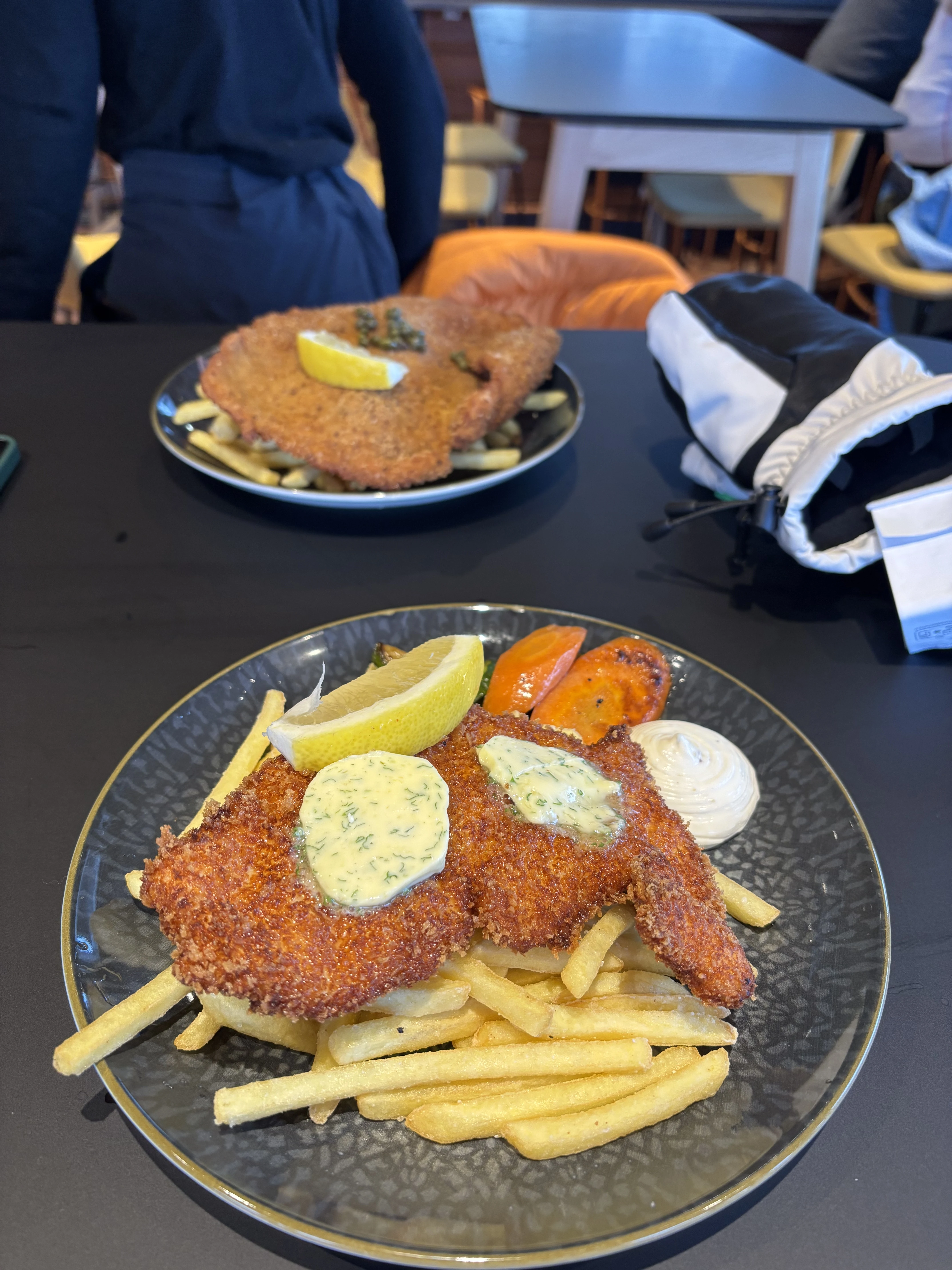 Huge schnitzel, Ÿllas, Finland — photo by Orlando Prugel-Bennett
