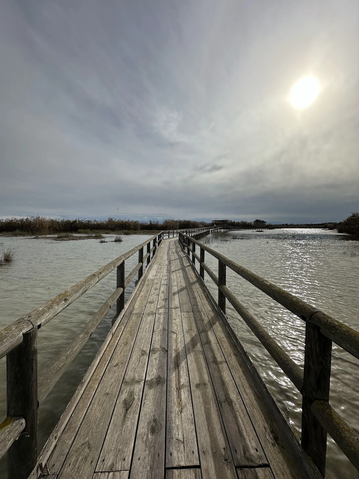 Boardwalk at el Hondo, El Hondo, Alicante, Spain — photo by Orlando Prugel-Bennett