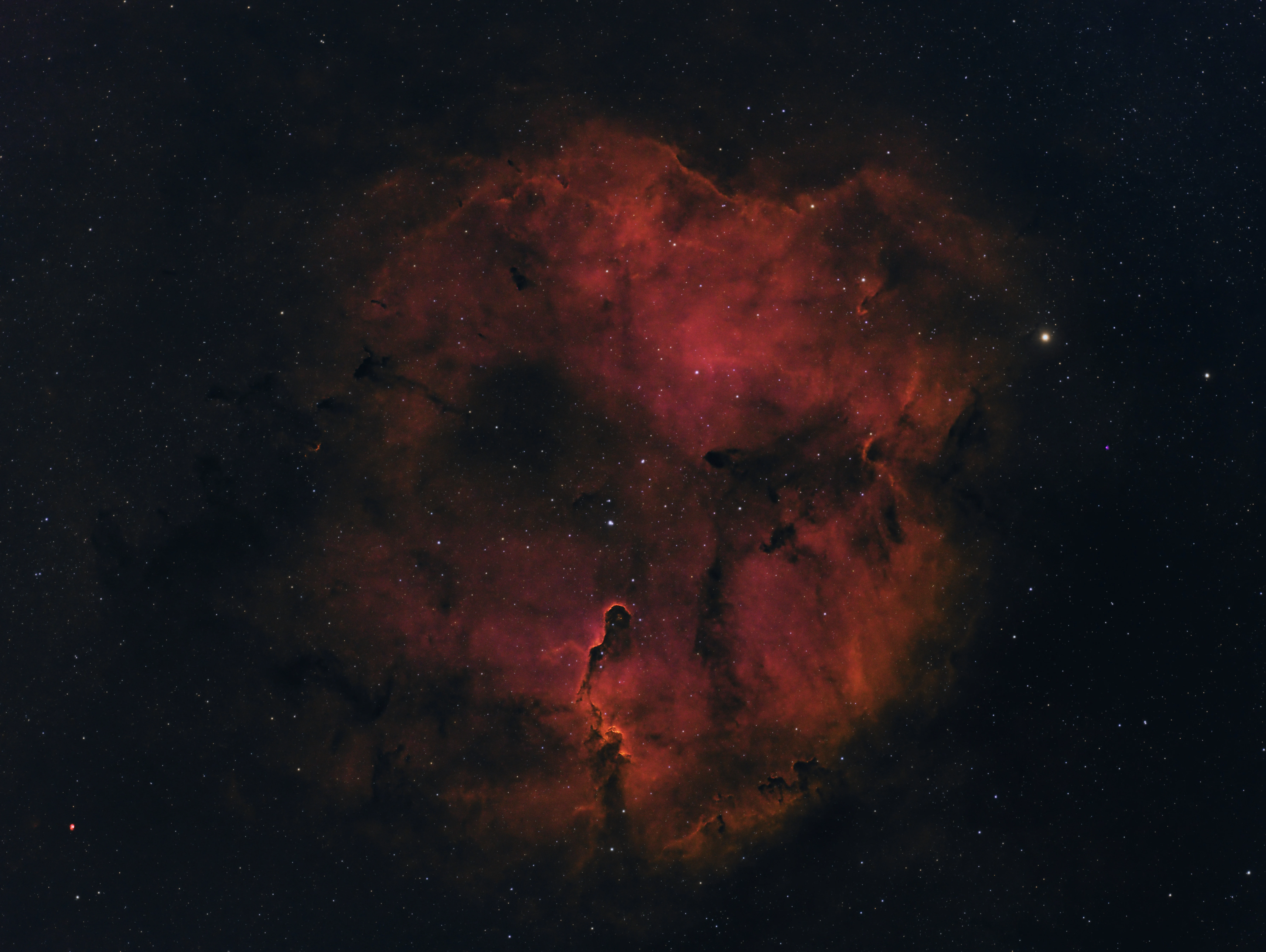 Elephant Trunk Nebula, Eling, UK — photo by Orlando Prugel-Bennett