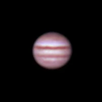 Jupiter, Eling, UK — photo by Orlando Prugel-Bennett