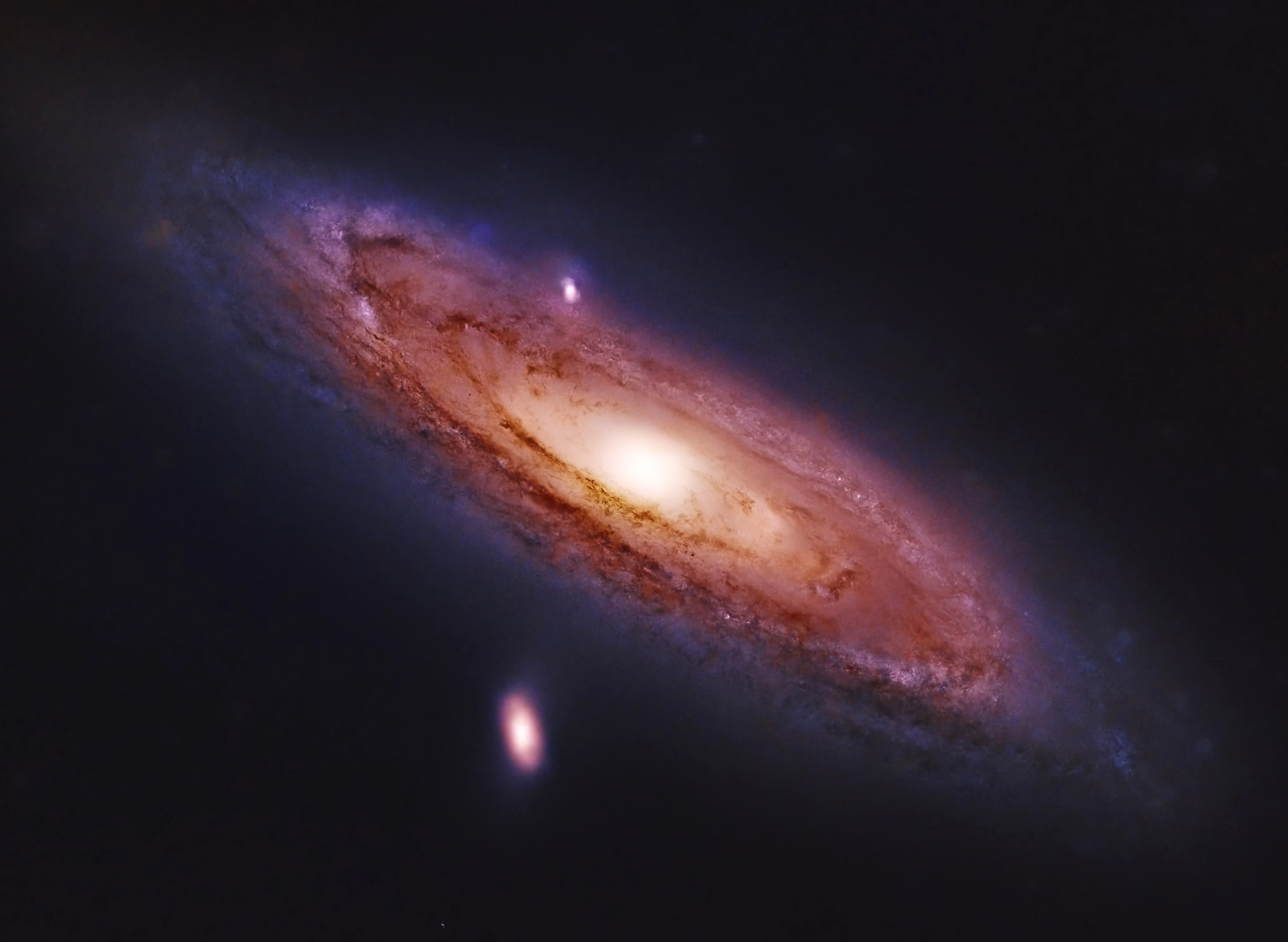 Andromeda Galaxy, UK — photo by Orlando Prugel-Bennett