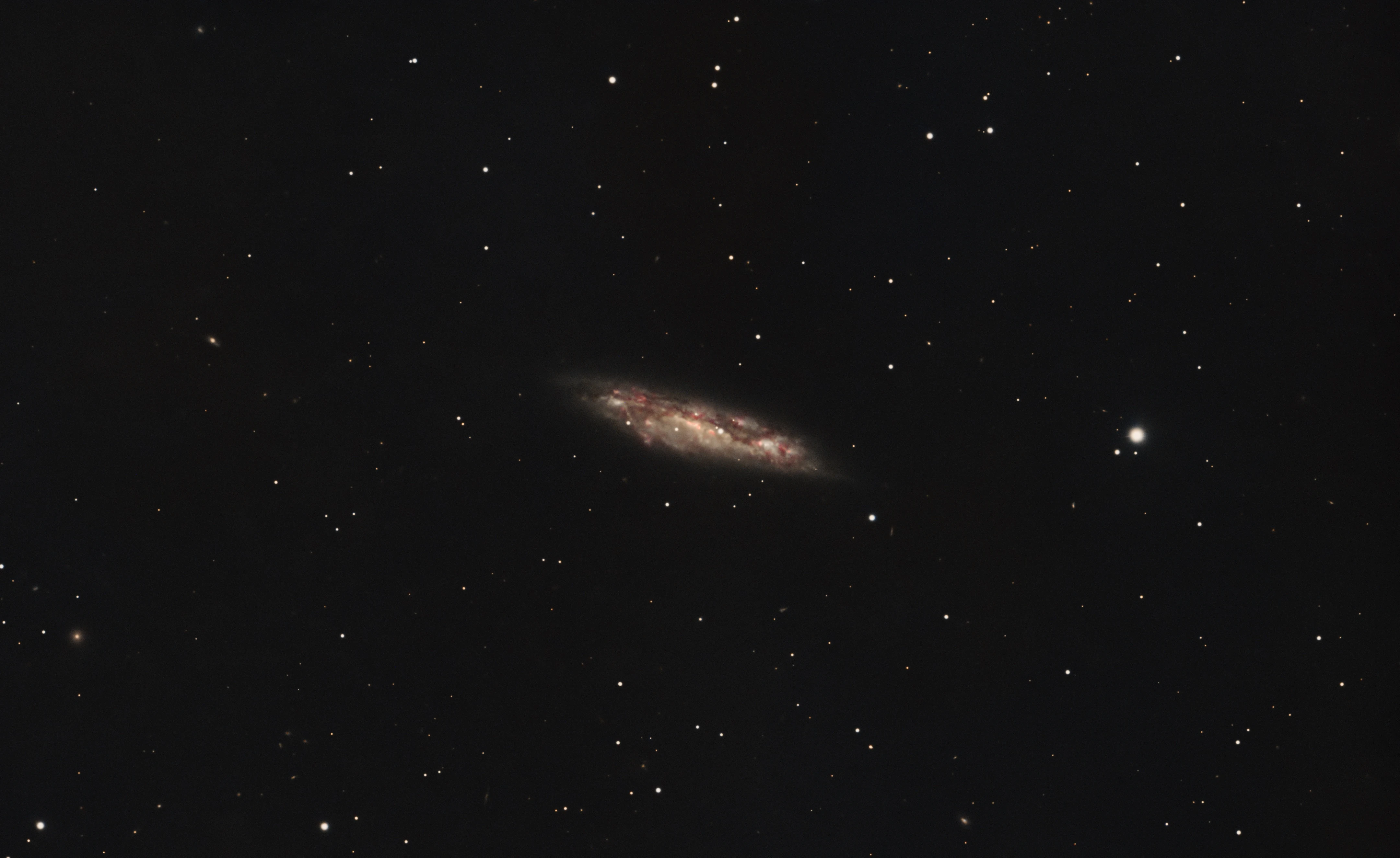 Messier 108, Eling, UK — photo by Orlando Prugel-Bennett