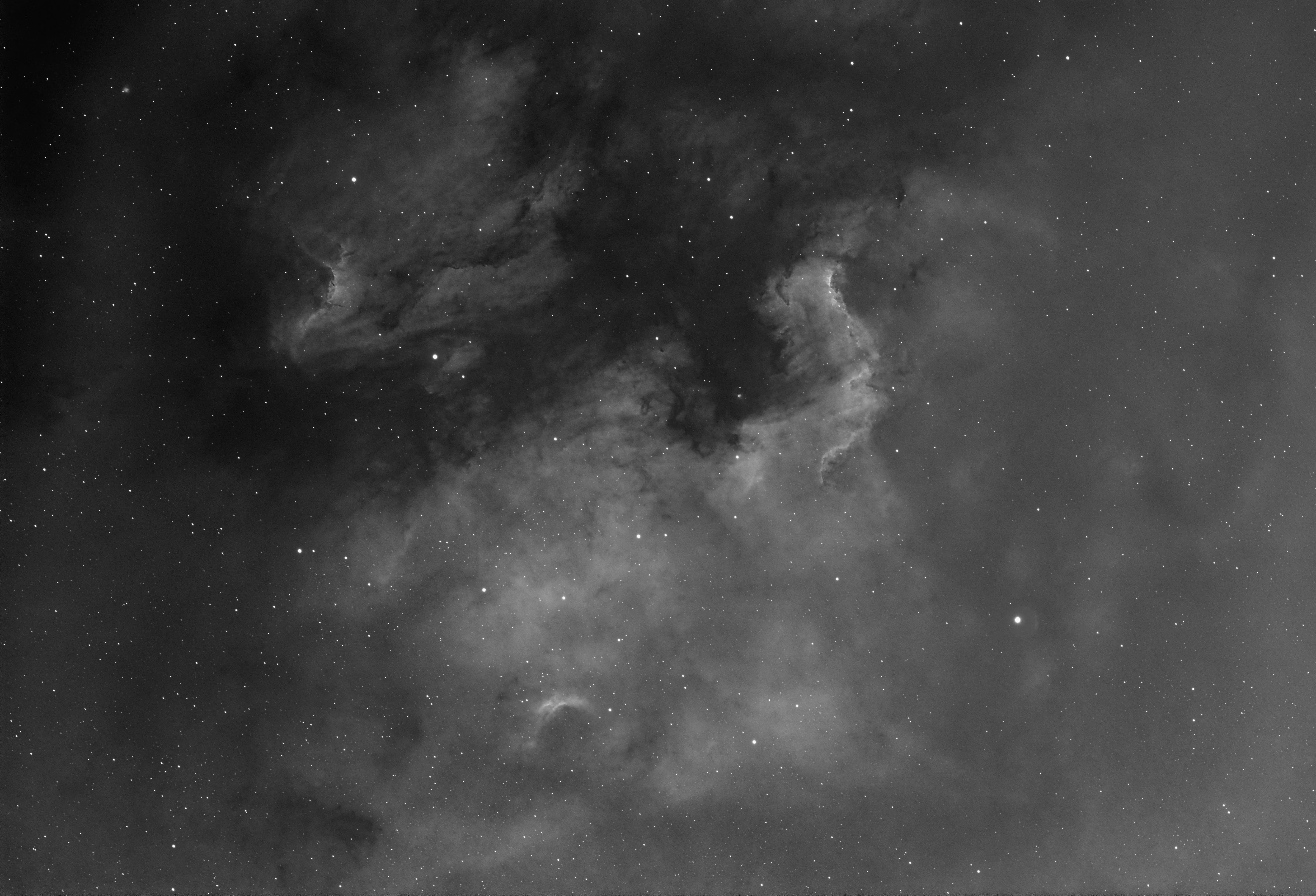 North America Nebula monochrome, Eling, UK — photo by Orlando Prugel-Bennett