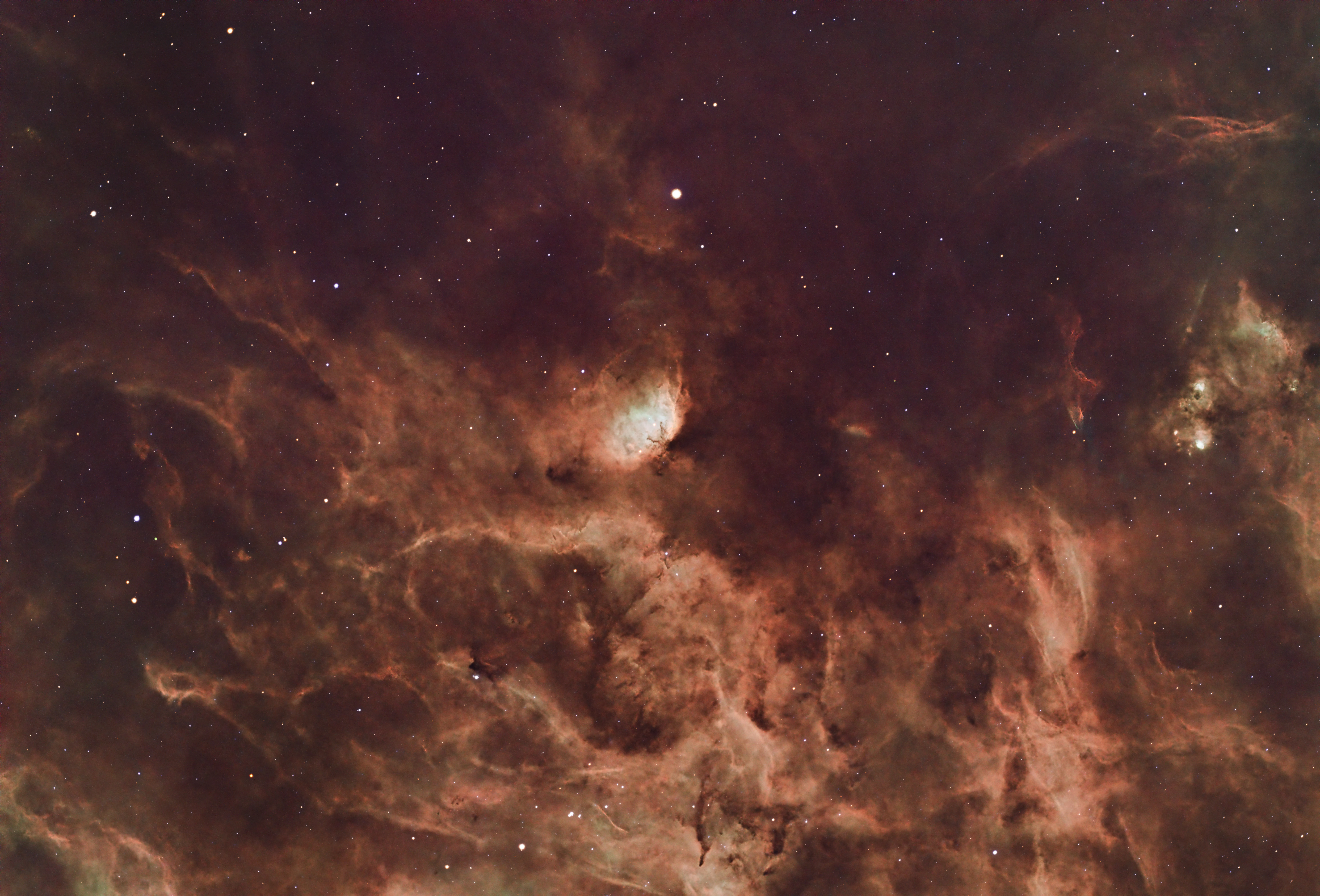 Tulip Nebula, Eling, UK — photo by Orlando Prugel-Bennett