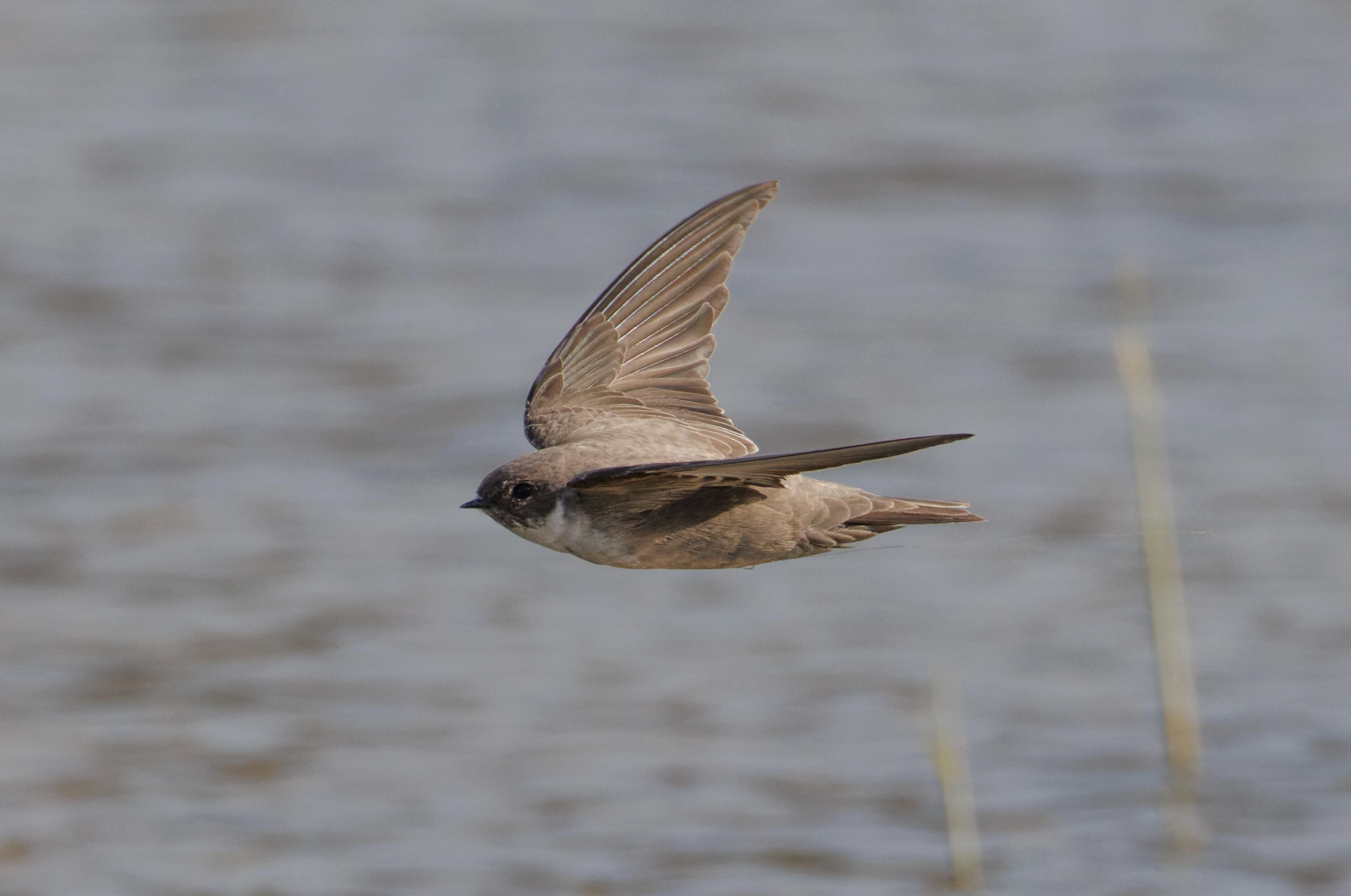 Crag Martin, El Hondo, Spain — photo by Orlando Prugel-Bennett