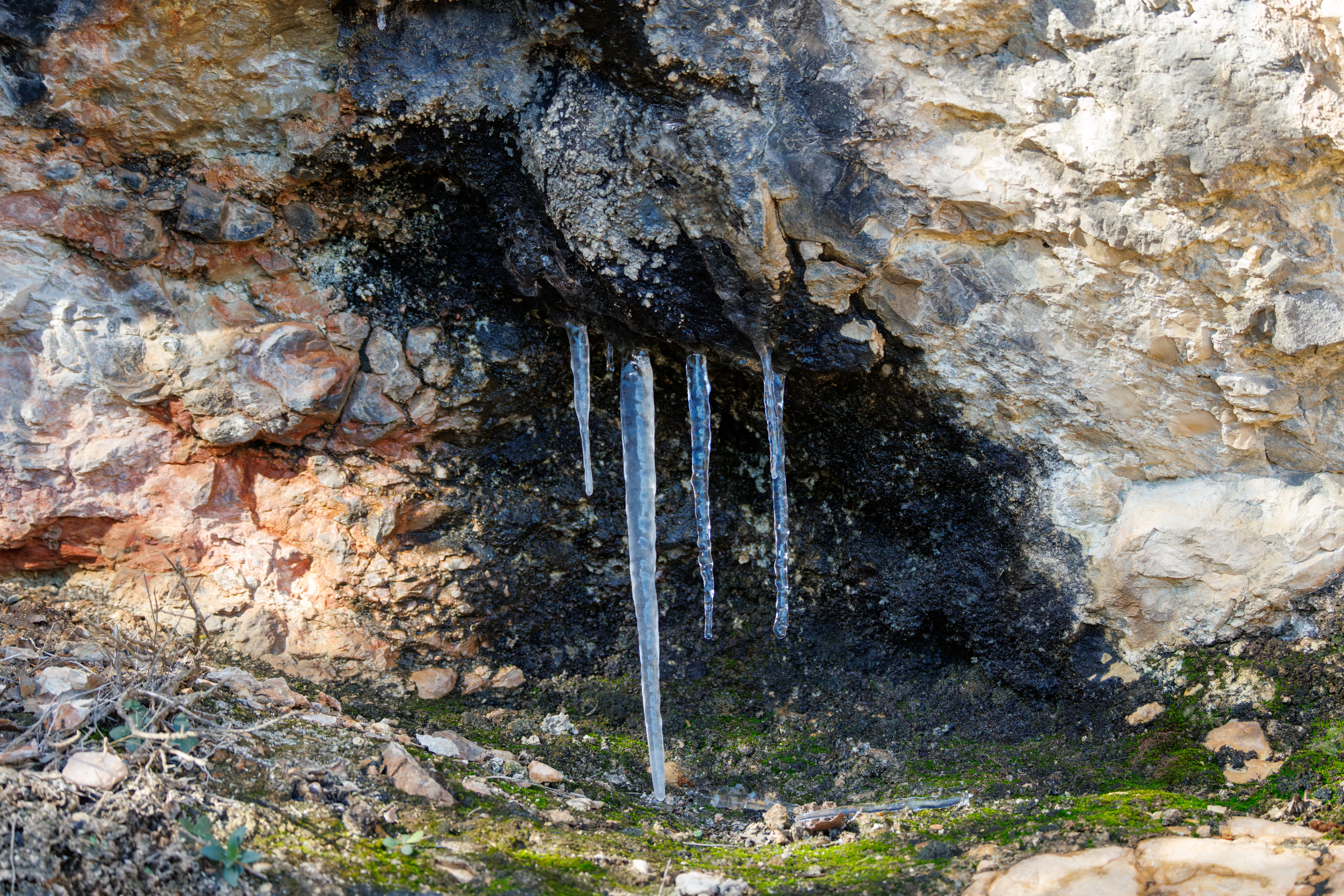 Icicles on limestone rock, Maigmo, Alicante, Spain — photo by Orlando Prugel-Bennett