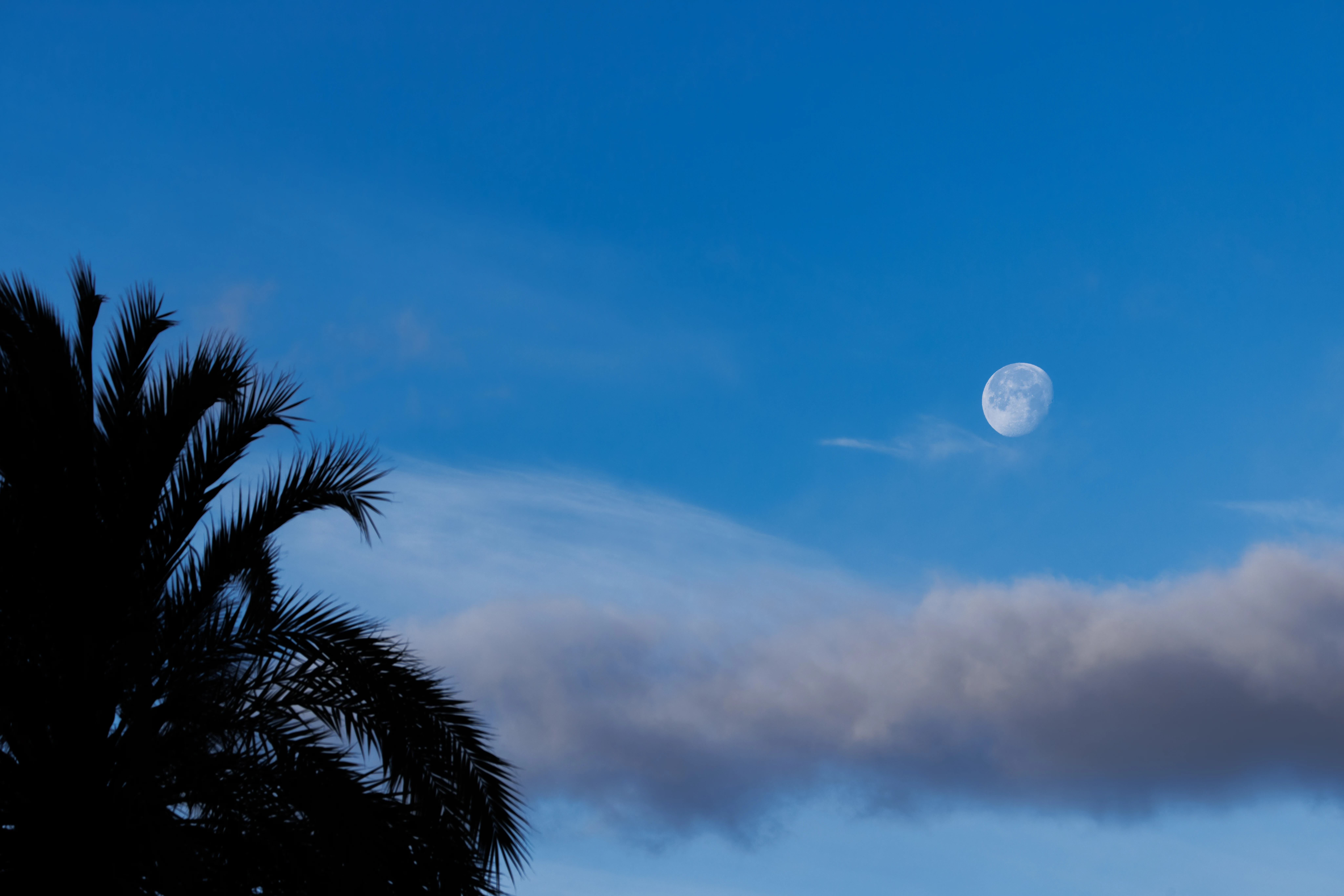 The Moon, Clot de Galvany, Alicante, Spain — photo by Orlando Prugel-Bennett