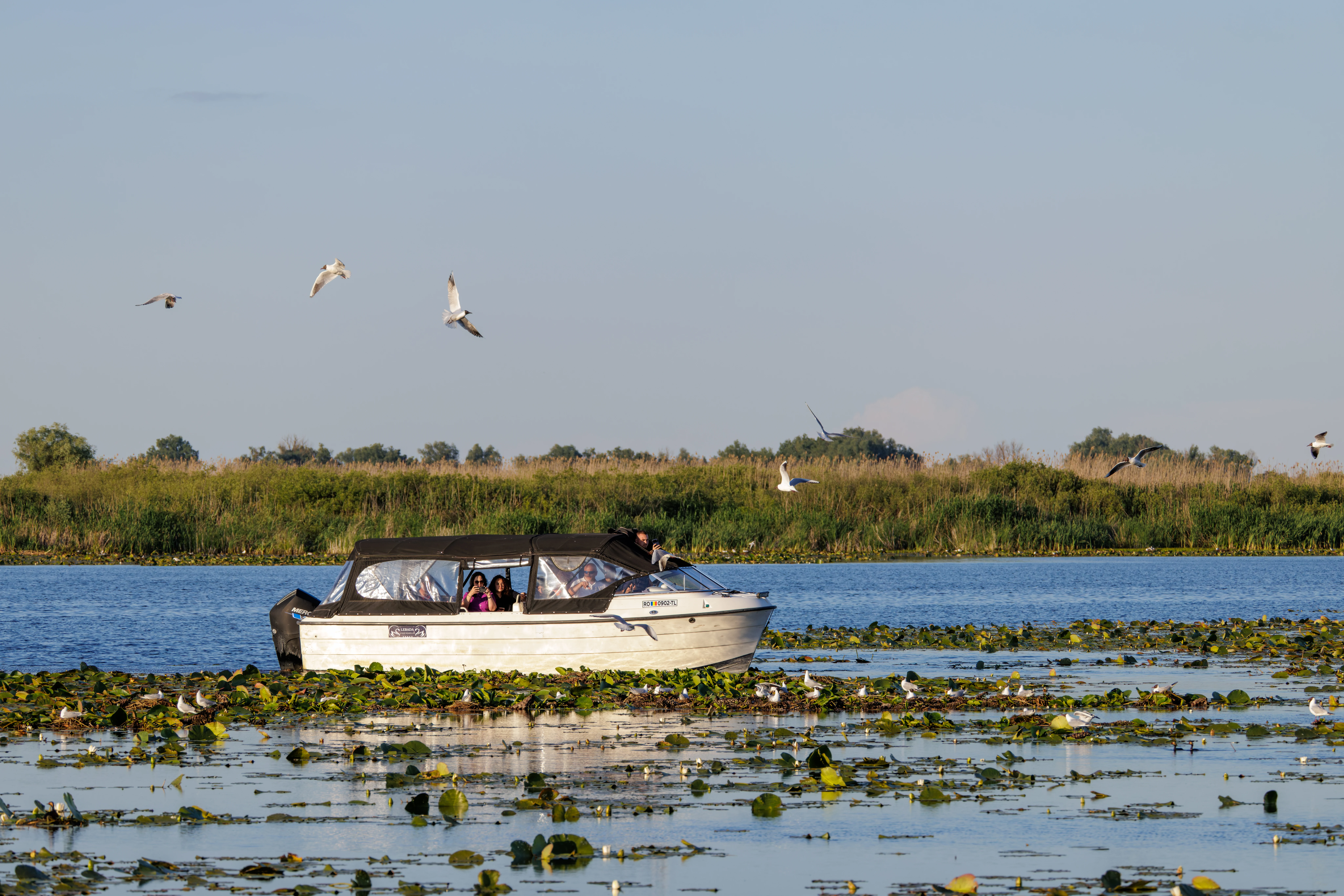 River boat, Danube Delta, Romania — photo by Orlando Prugel-Bennett
