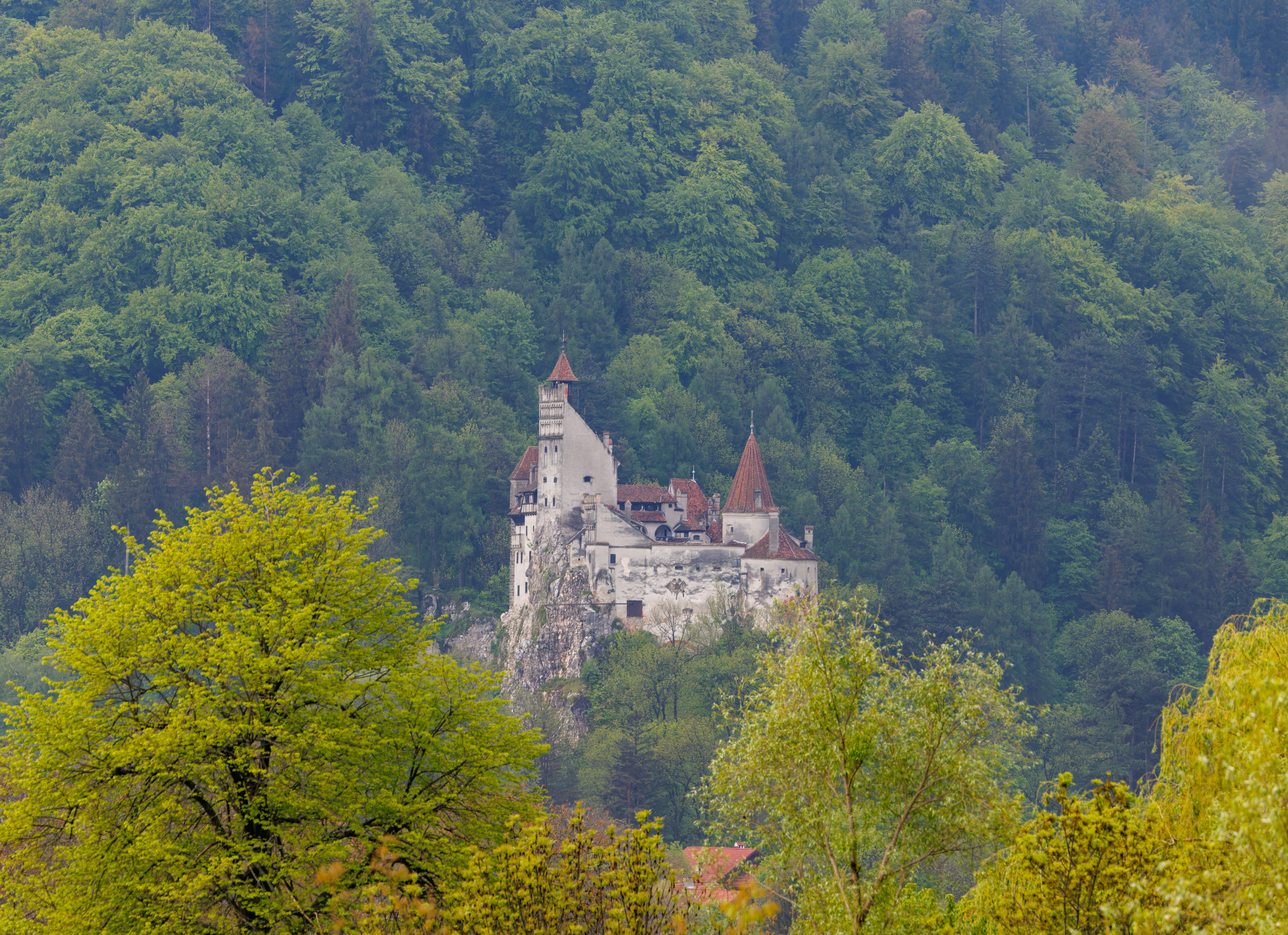 Bran Castle, Transylvania, Romania — photo by Orlando Prugel-Bennett