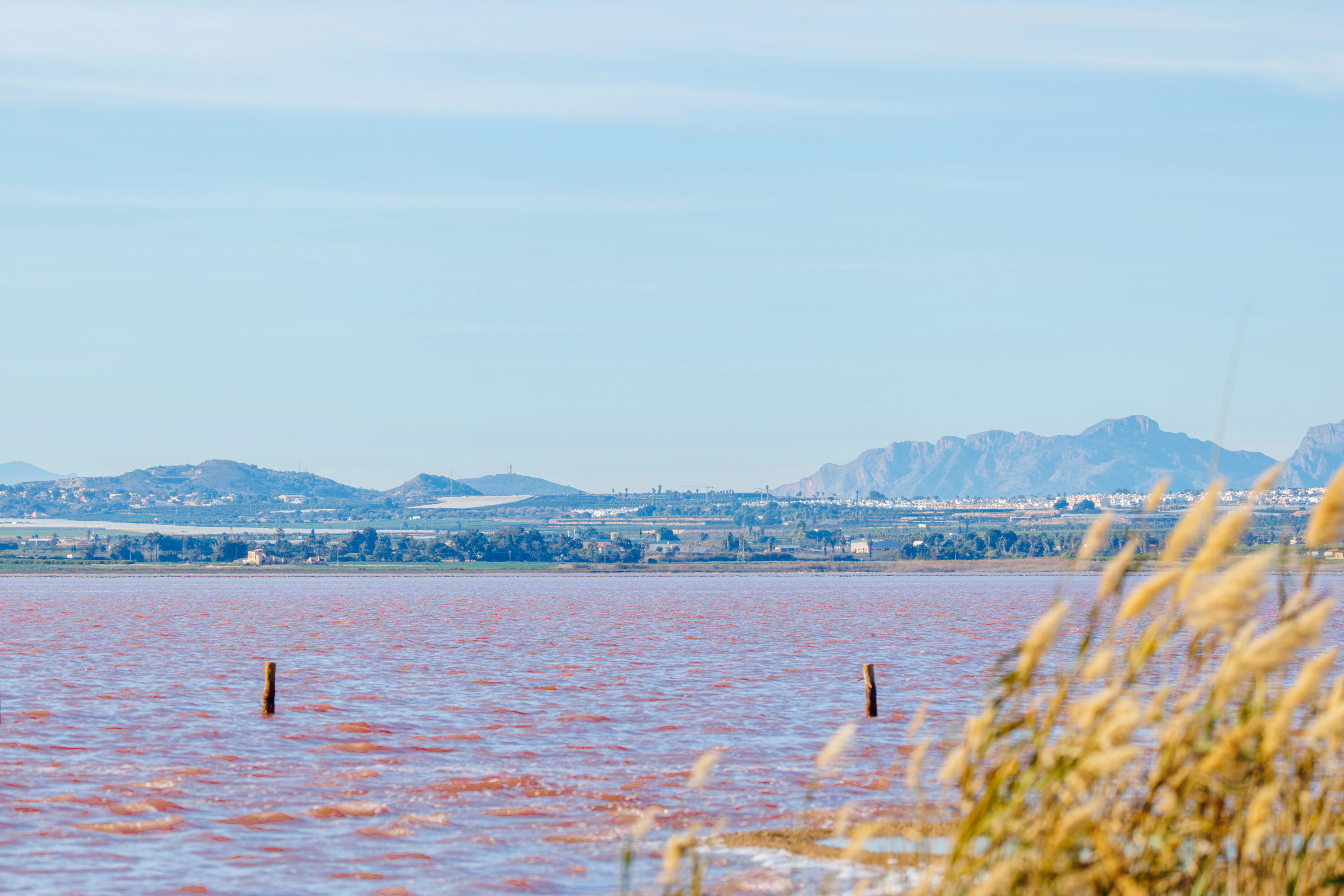 The Pink Lake, Pink Lake, Alicante, Spain — photo by Orlando Prugel-Bennett