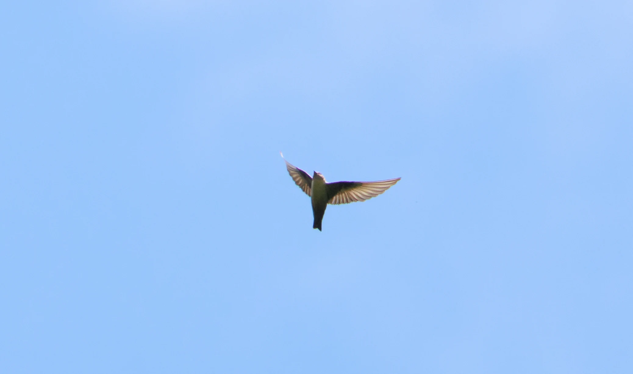 Crag Martin, Transylvania, Romania — photo by Orlando Prugel-Bennett