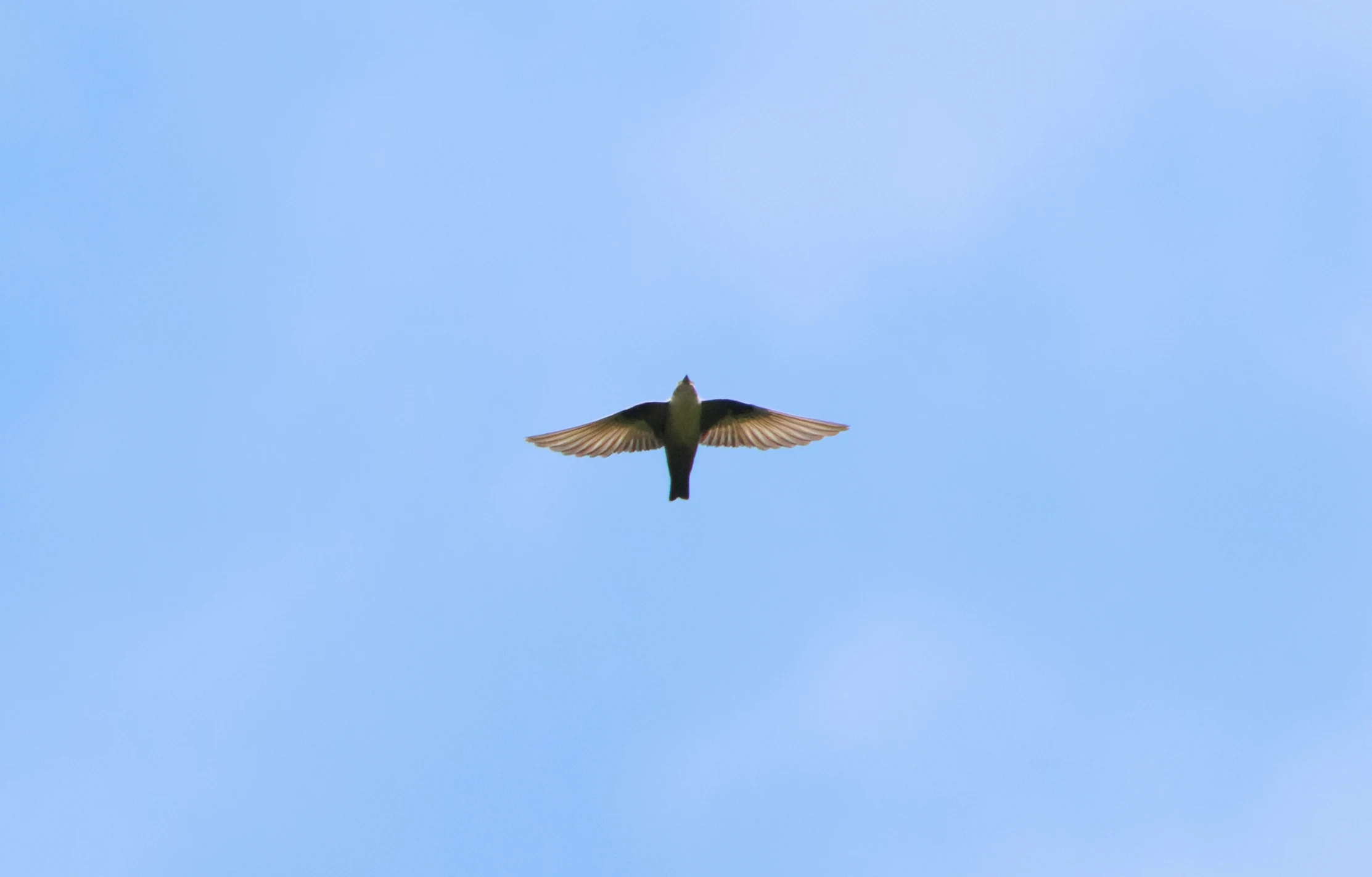 Crag Martin, Transylvania, Romania — photo by Orlando Prugel-Bennett