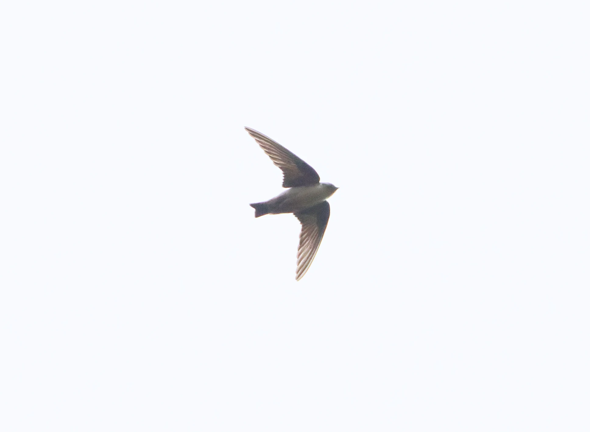 Crag Martin, Transylvania, Romania — photo by Orlando Prugel-Bennett