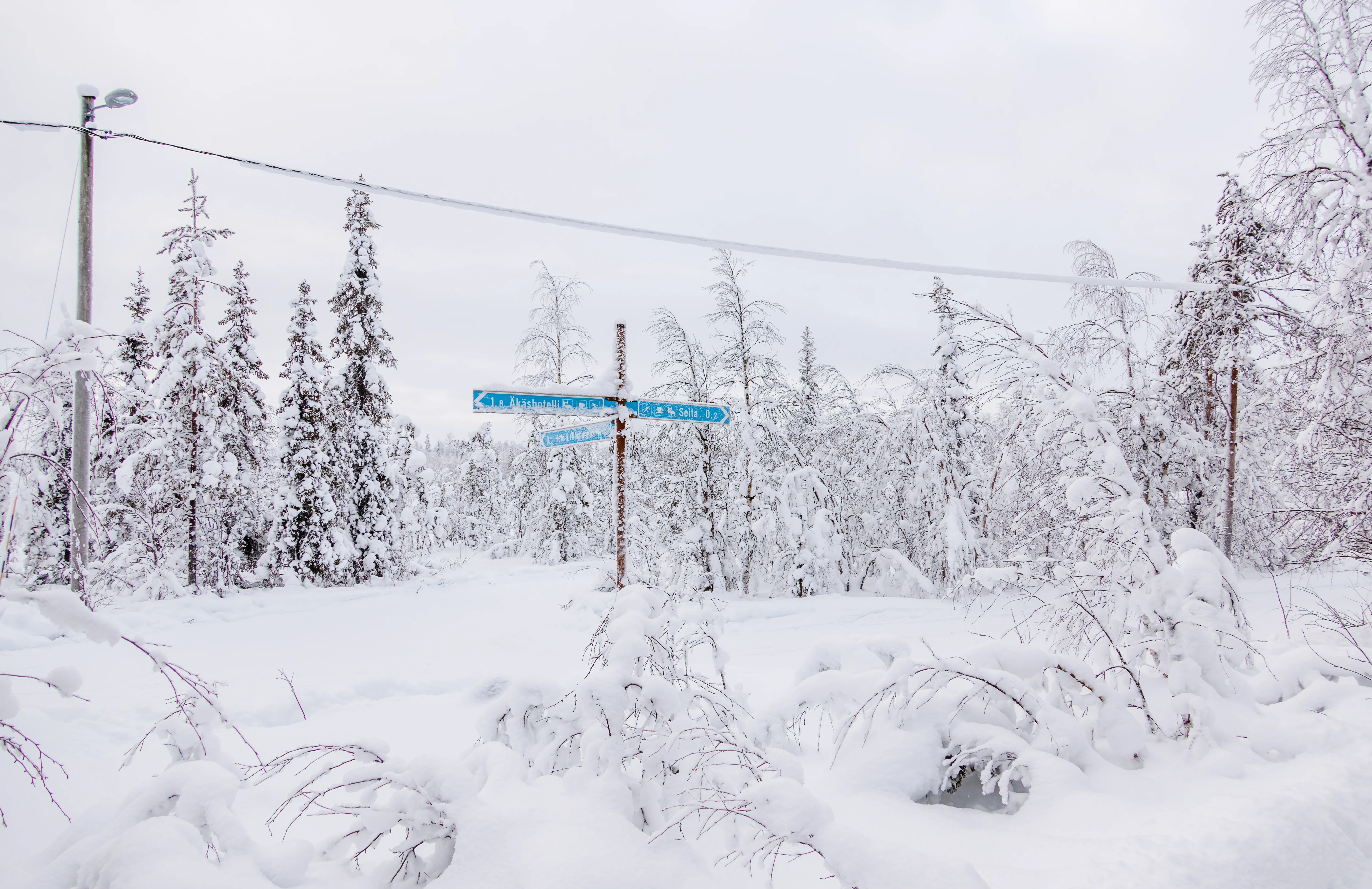 Forest sign, Ÿllas, Finland — photo by Orlando Prugel-Bennett