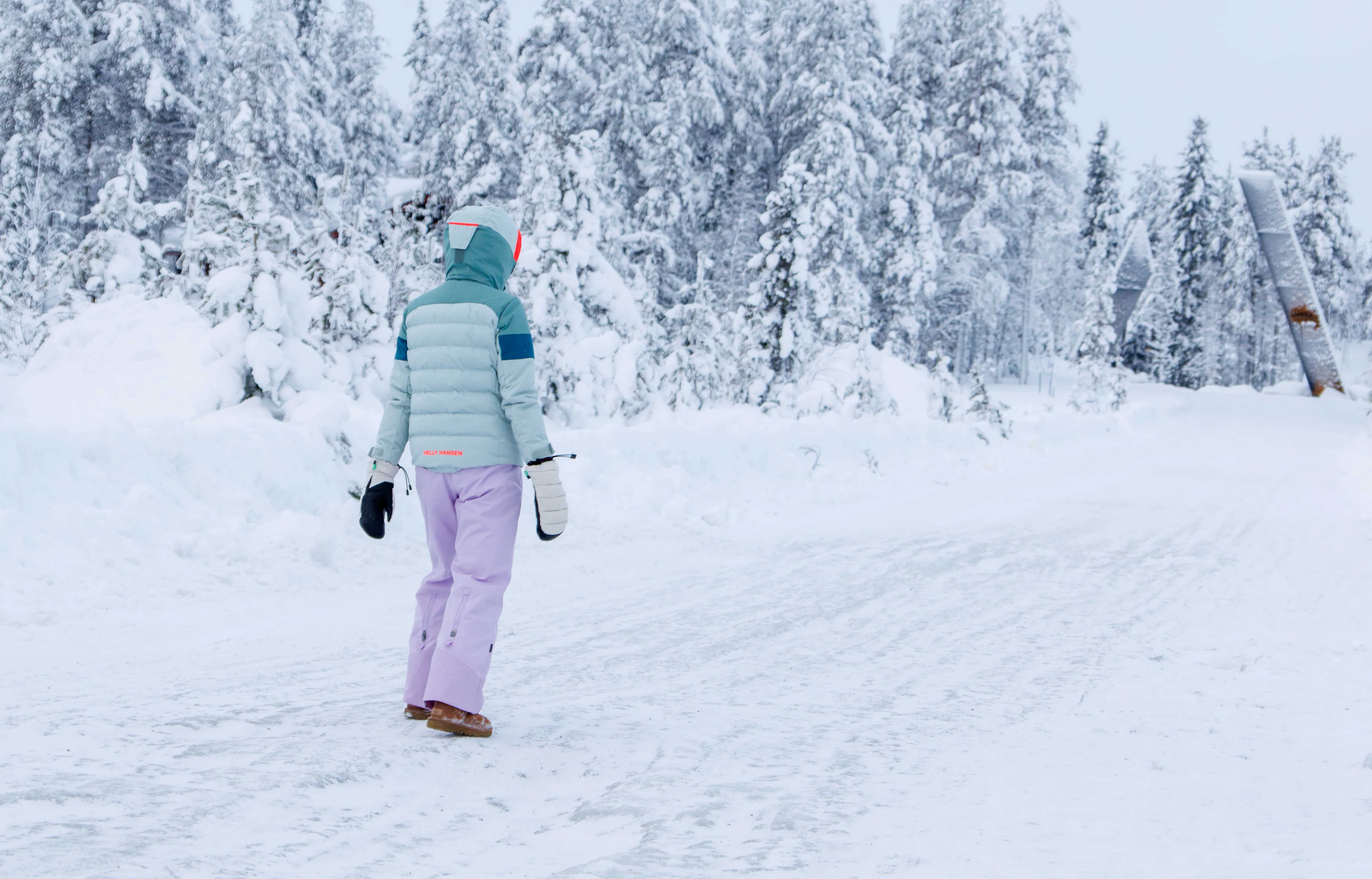 Martha in Forest, Ÿllas, Finland — photo by Orlando Prugel-Bennett