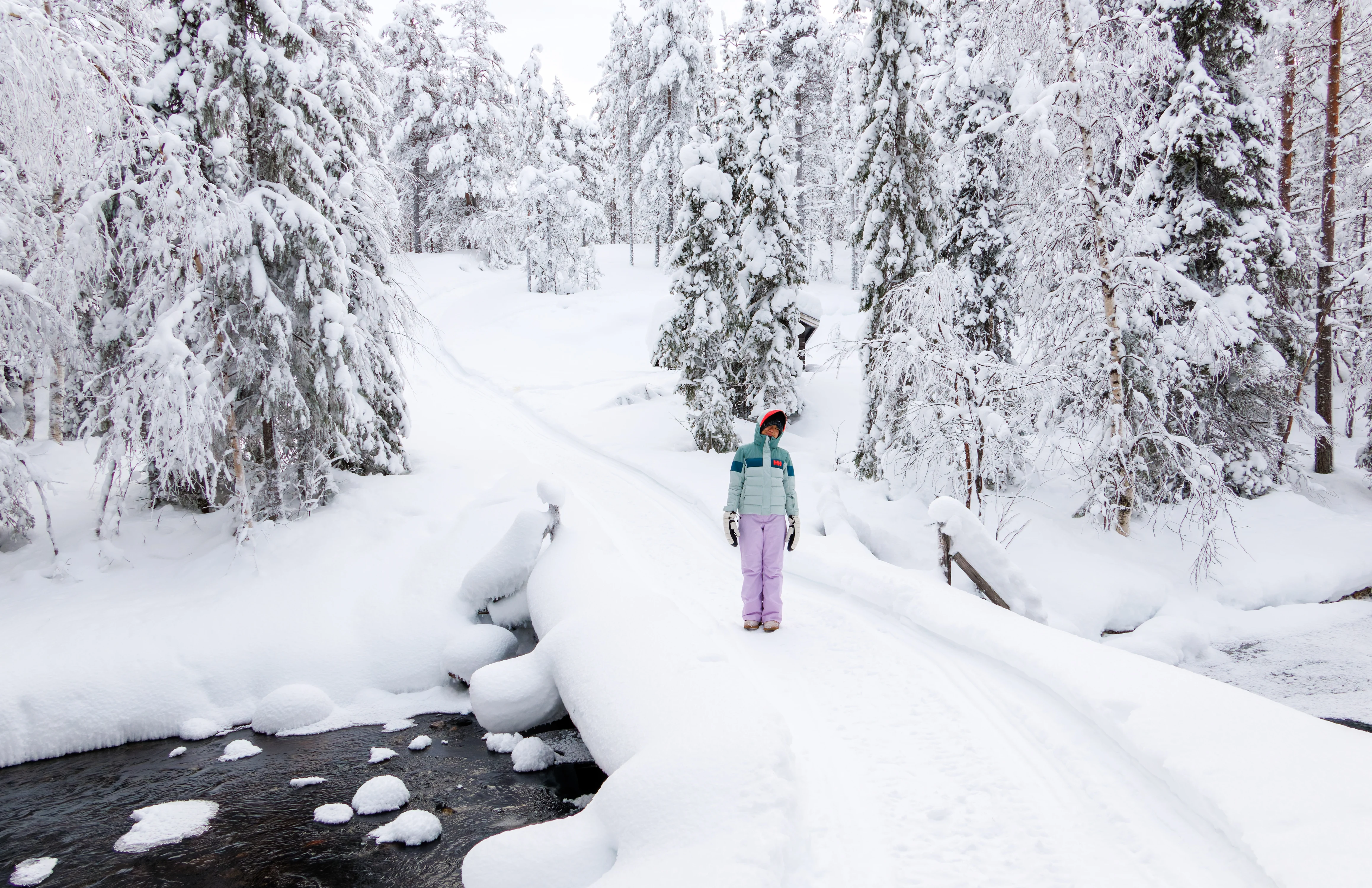 Martha in Forest, Ÿllas, Finland — photo by Orlando Prugel-Bennett
