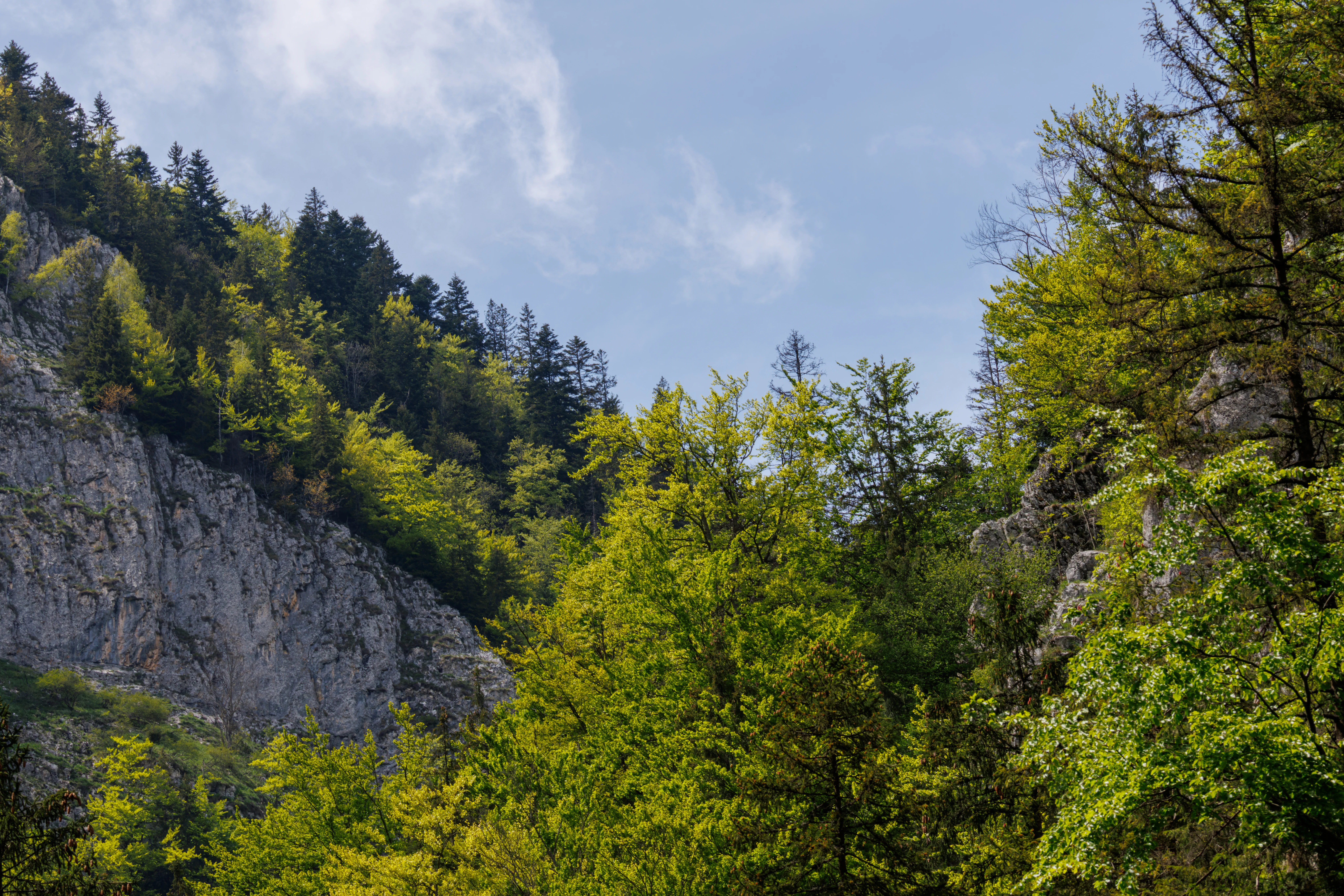 Piatra Craiului National Park, Transylvania, Romania — photo by Orlando Prugel-Bennett