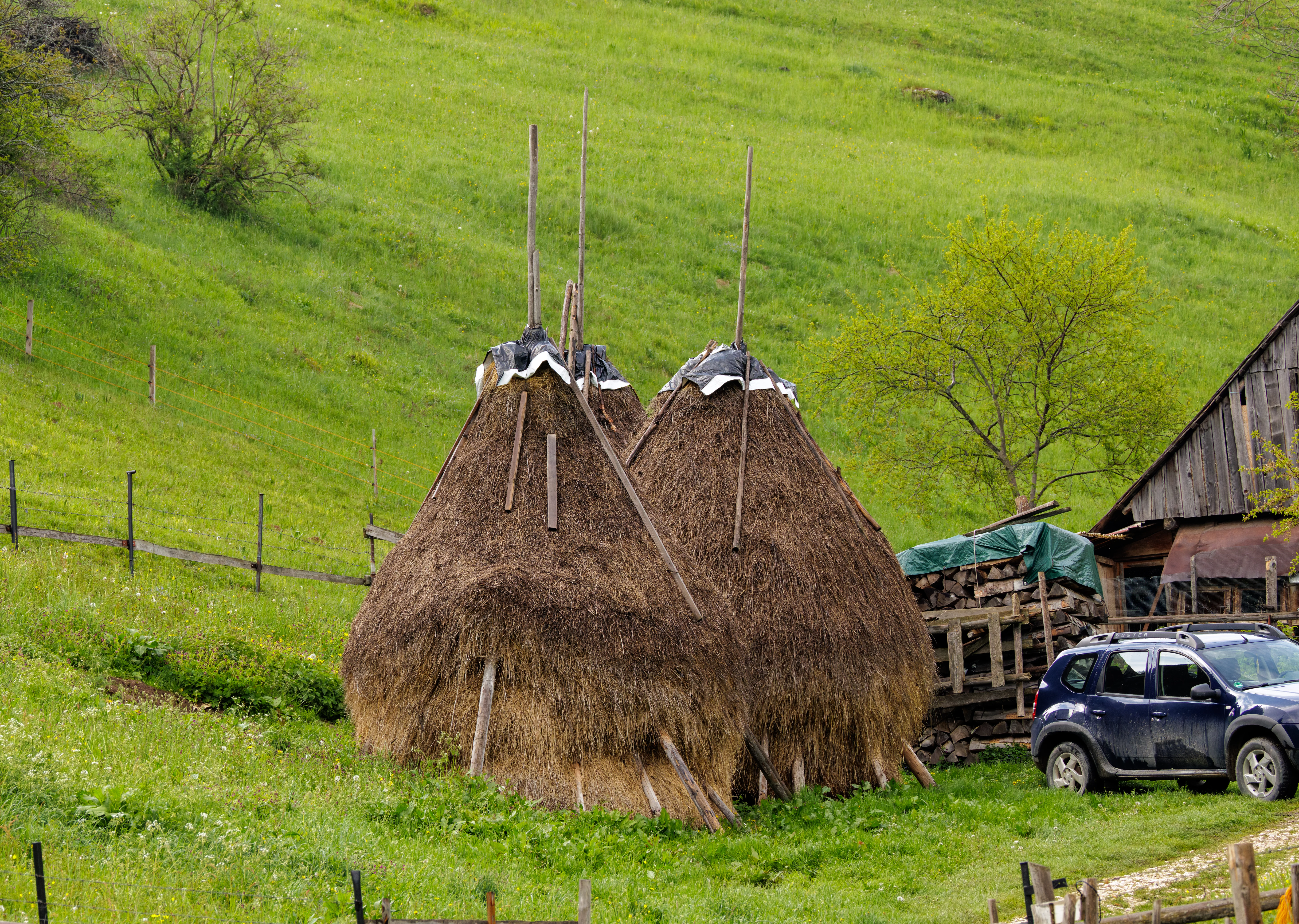 Traditional haystacks, Transylvania, Romania — photo by Orlando Prugel-Bennett