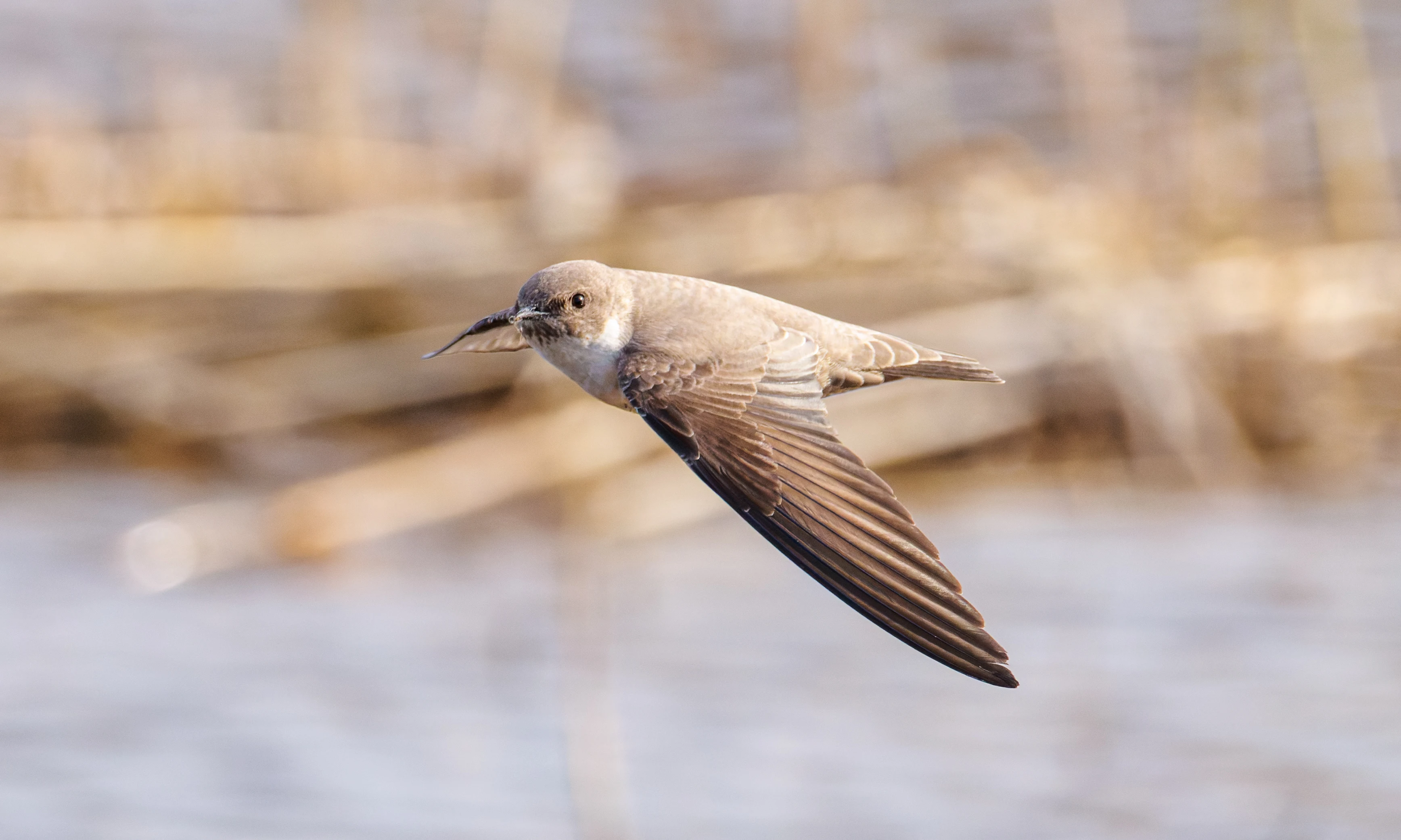 Crag Martin, El Hondo, Spain — photo by Orlando Prugel-Bennett