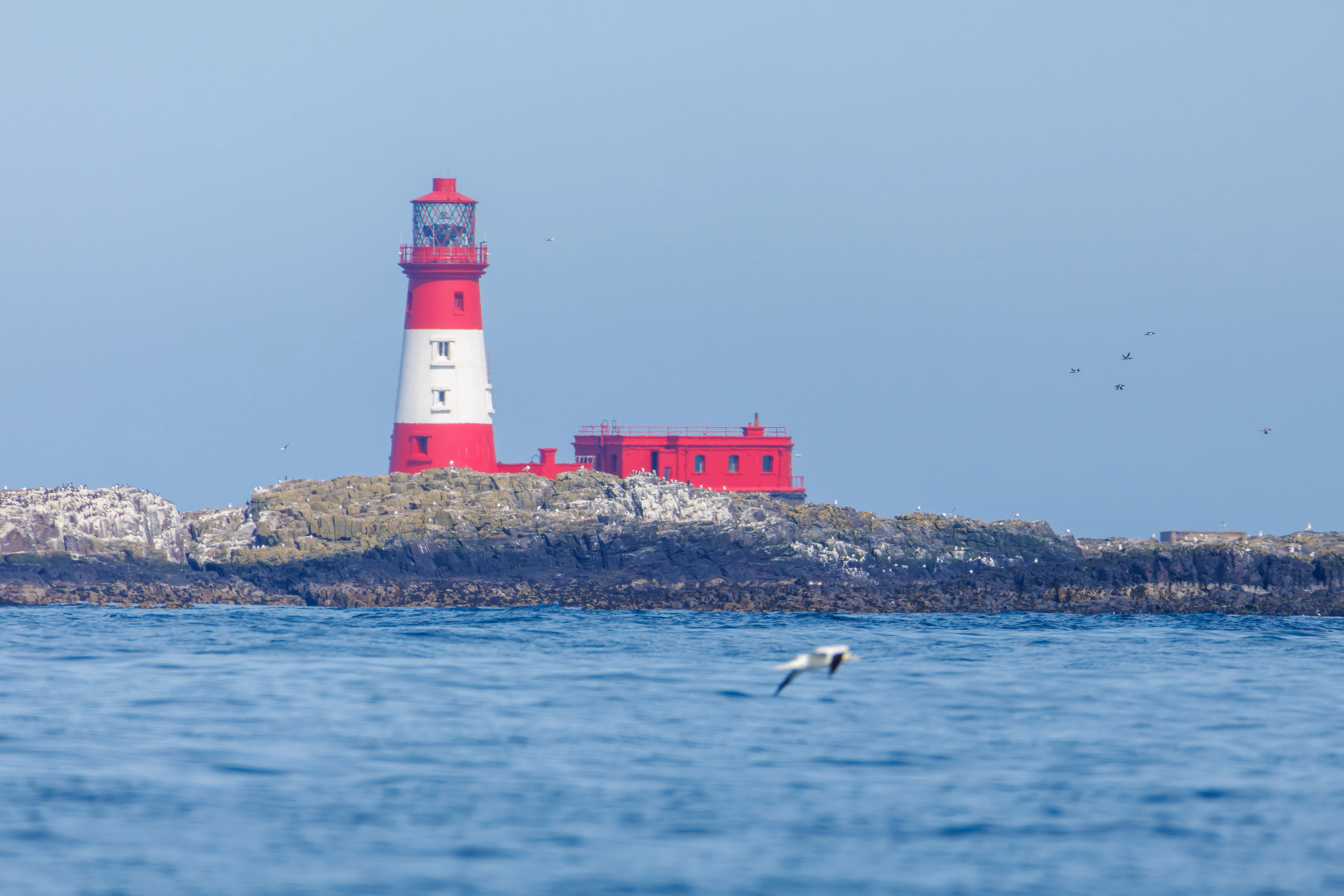 Longstone Lighthouse, Farne Islands, Seahouses, Northumberland, UK — photo by Orlando Prugel-Bennett