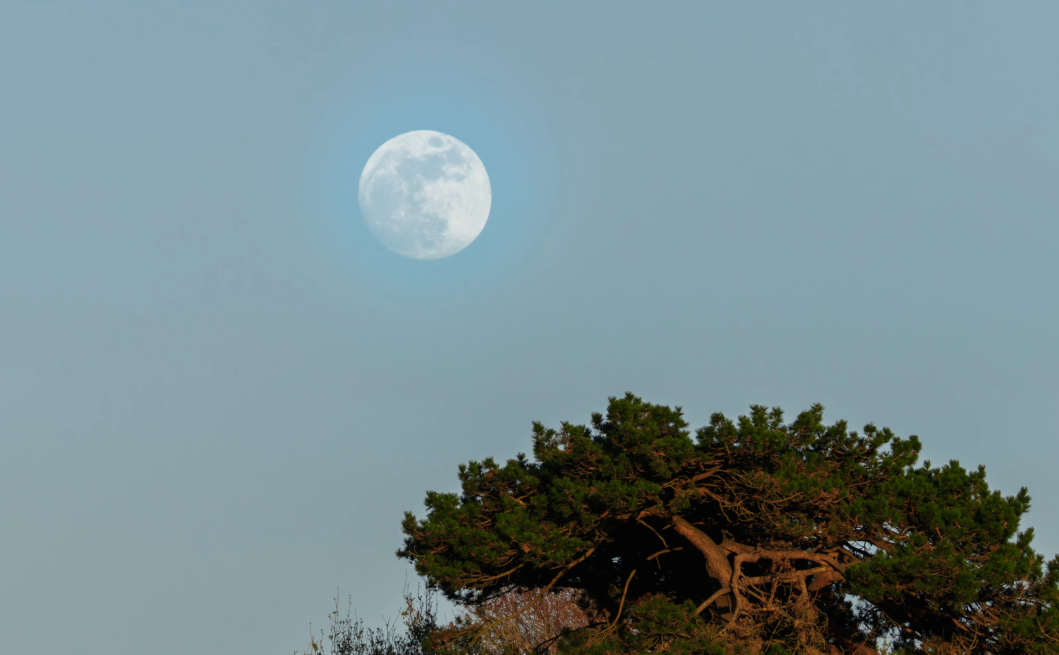 Moon, Posbrook Floods, Titchfield, UK — photo by Orlando Prugel-Bennett