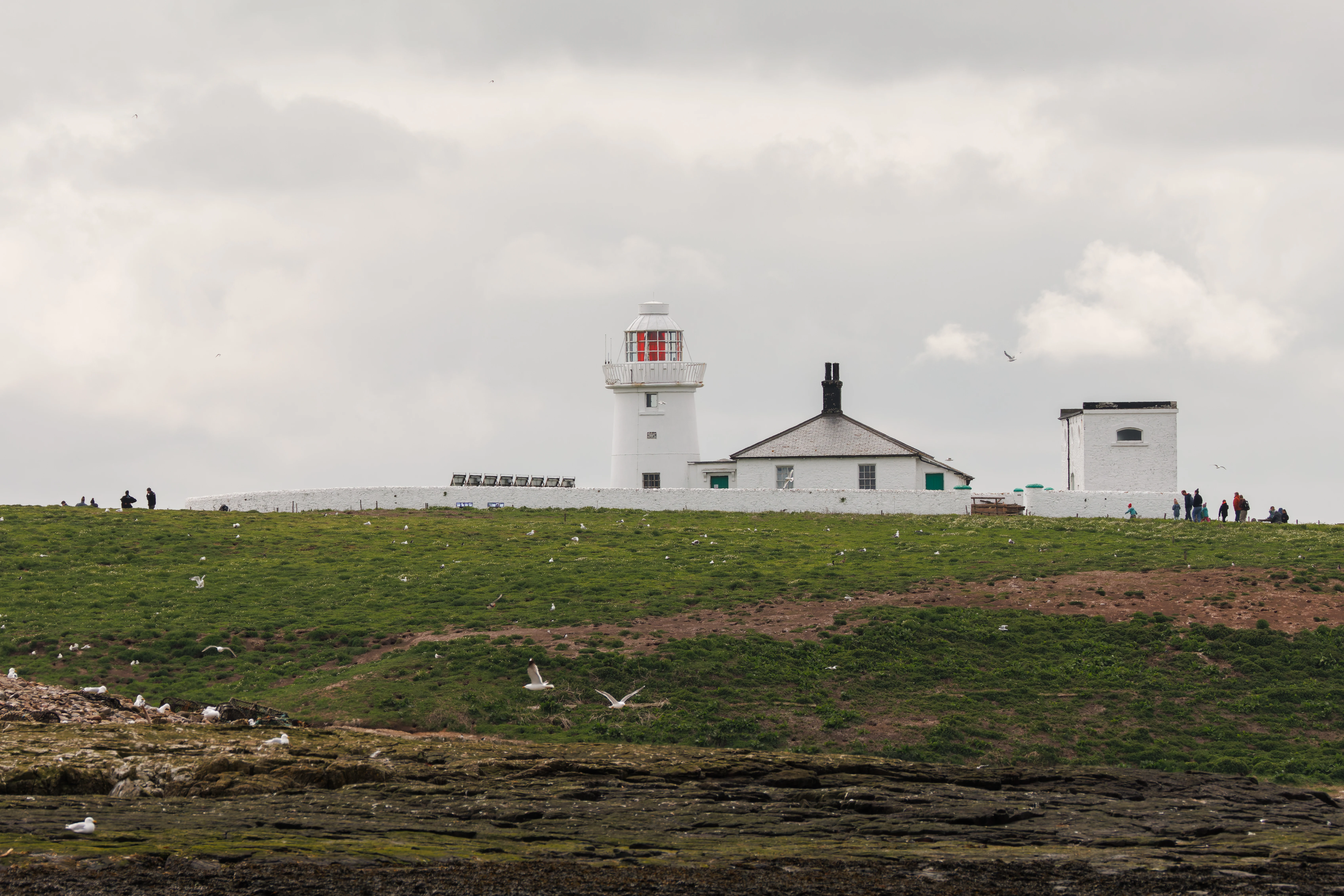 Inner Farne Lighthouse, Farne Islands, Seahouses, Northumberland, UK — photo by Orlando Prugel-Bennett