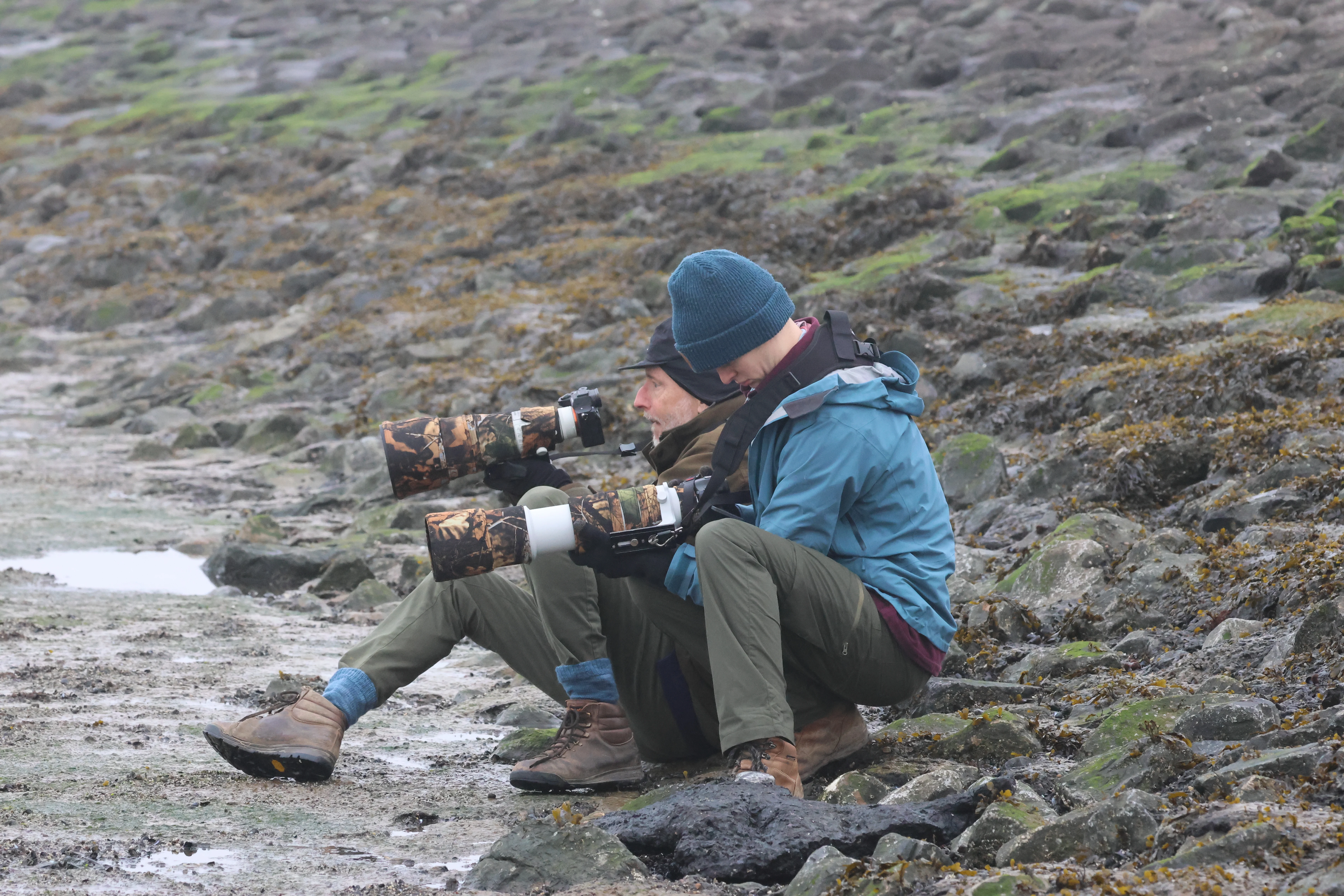 Orlando and Jim taking pictures of purple sandpiper, Zeeland, Netherlands — photo by Adam Prugel-Bennett