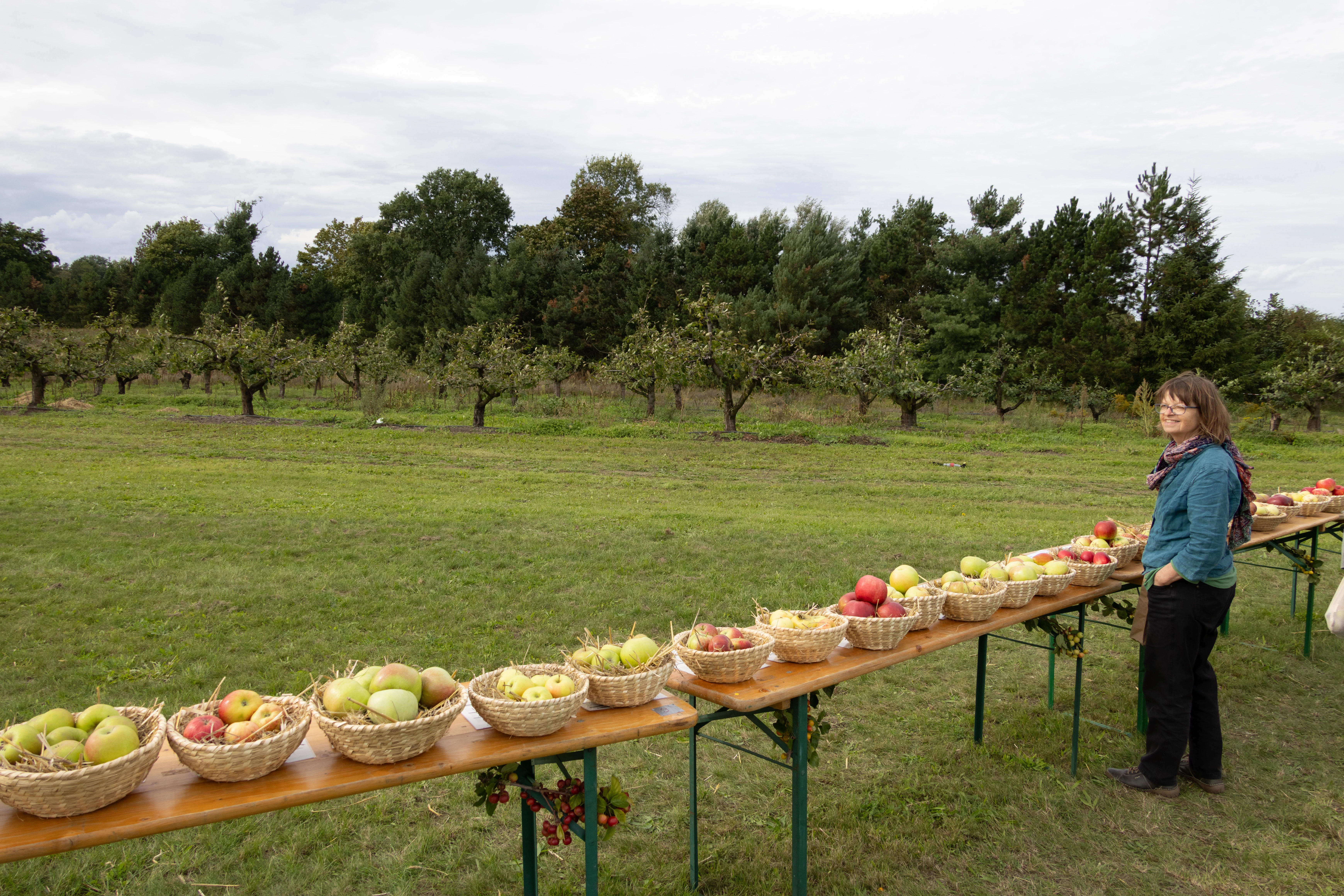 Doris with baskets of apples at orchard, Müncheberg, Märkisch-Oderland, Germany — photo by Adam Prugel-Bennett