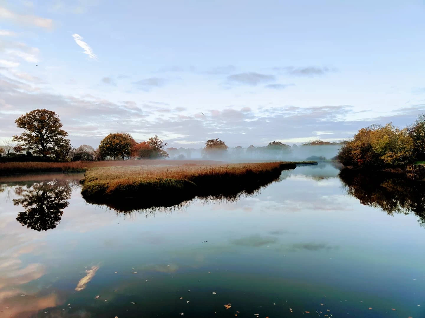 River landscape with autumn trees and morning mist — photo by Adam Prugel-Bennett